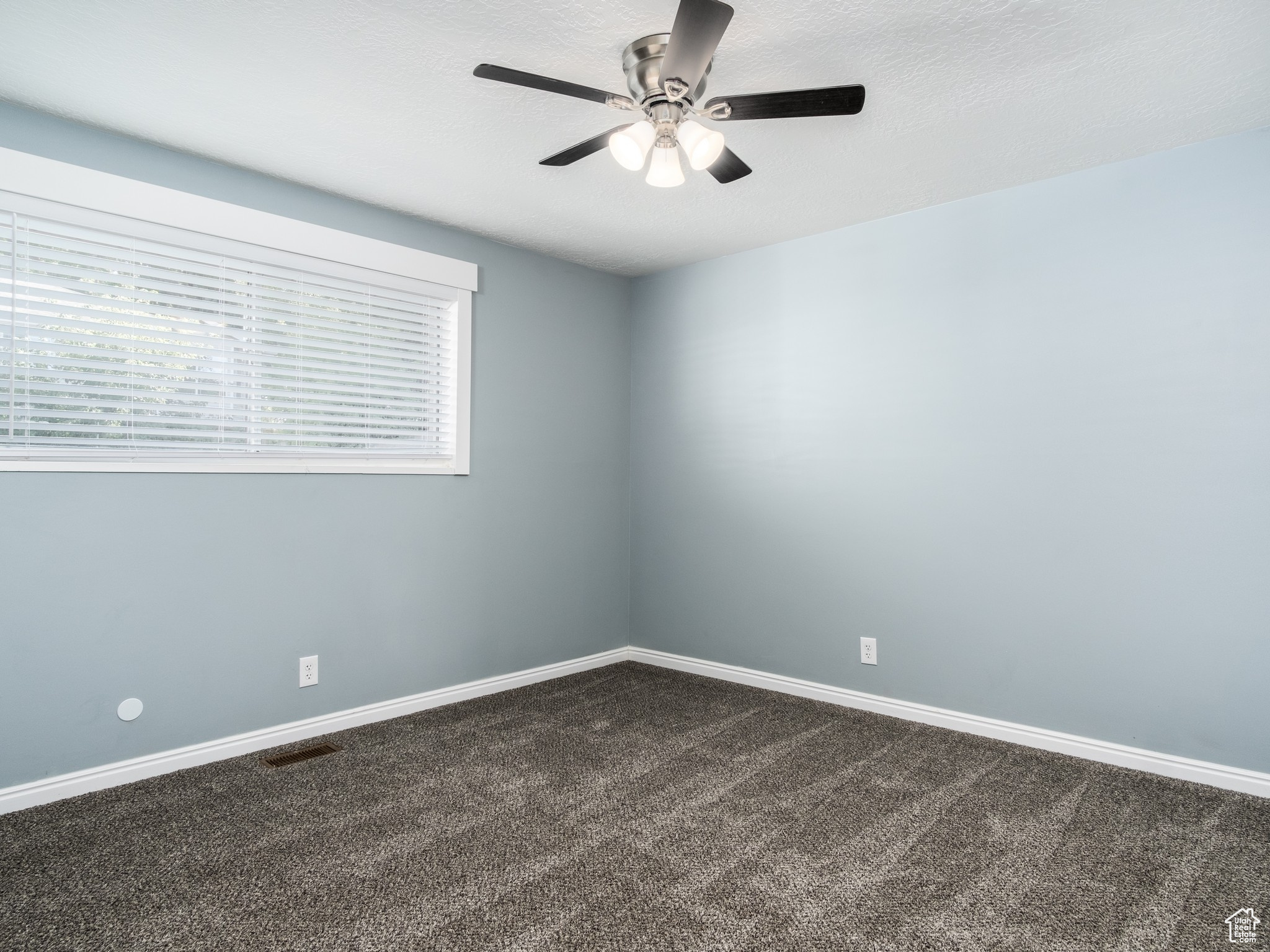 Main Floor Primary Bedroom