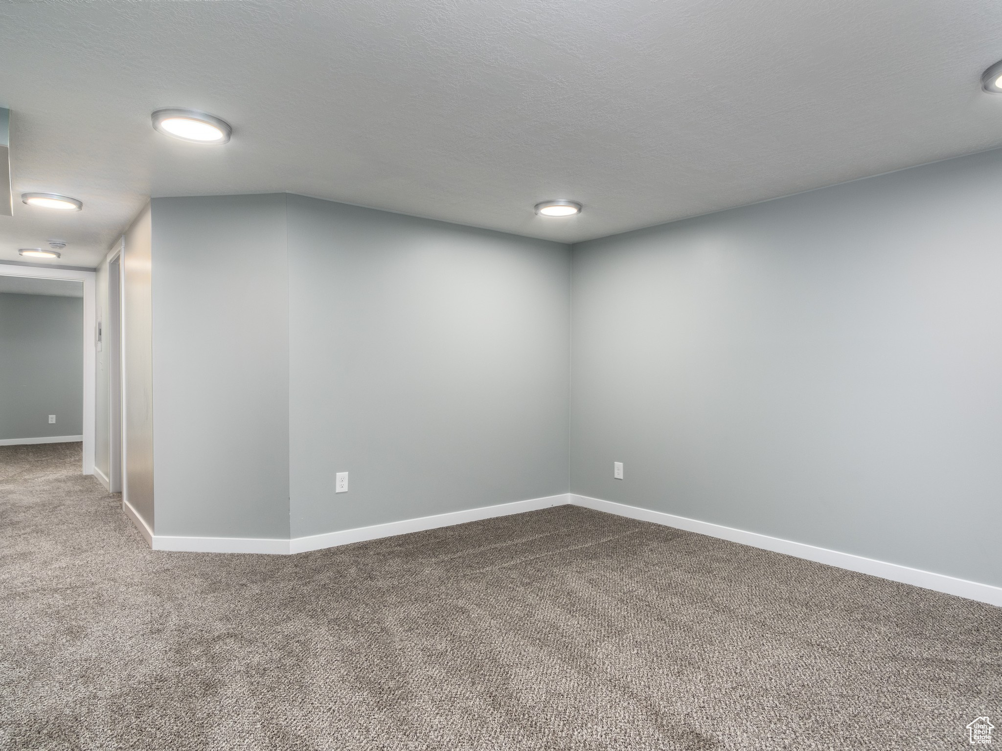 Basement Unit Family Room