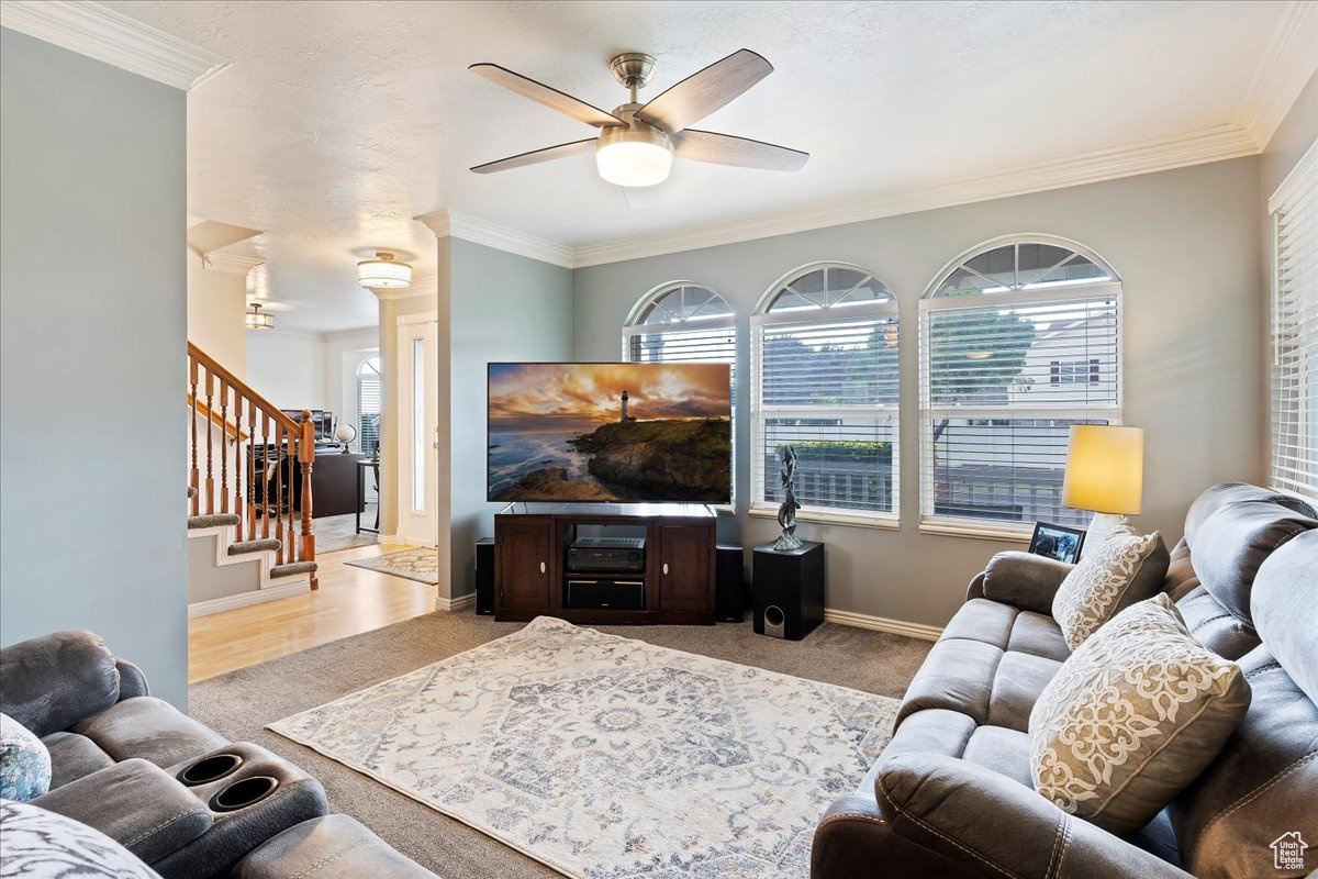 Living room featuring light hardwood / wood-style flooring, ceiling fan, and ornamental molding