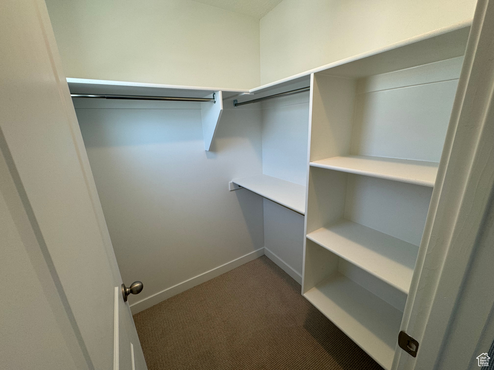 Walk in closet with carpet