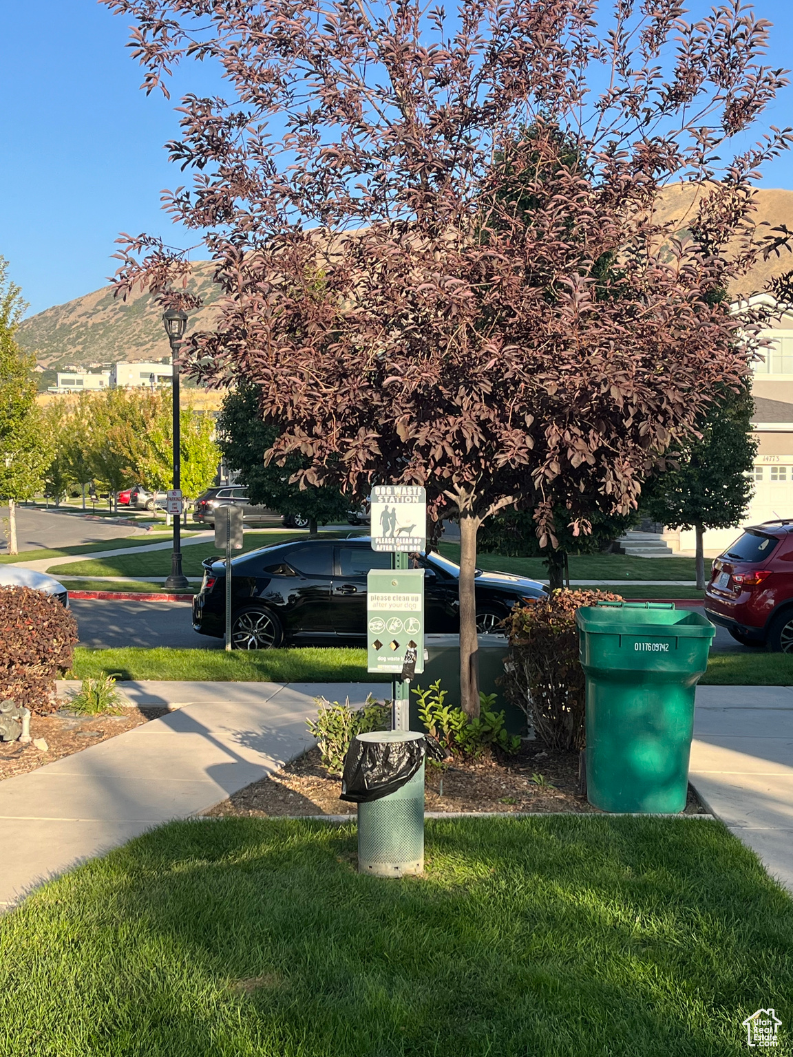 Dog waste station