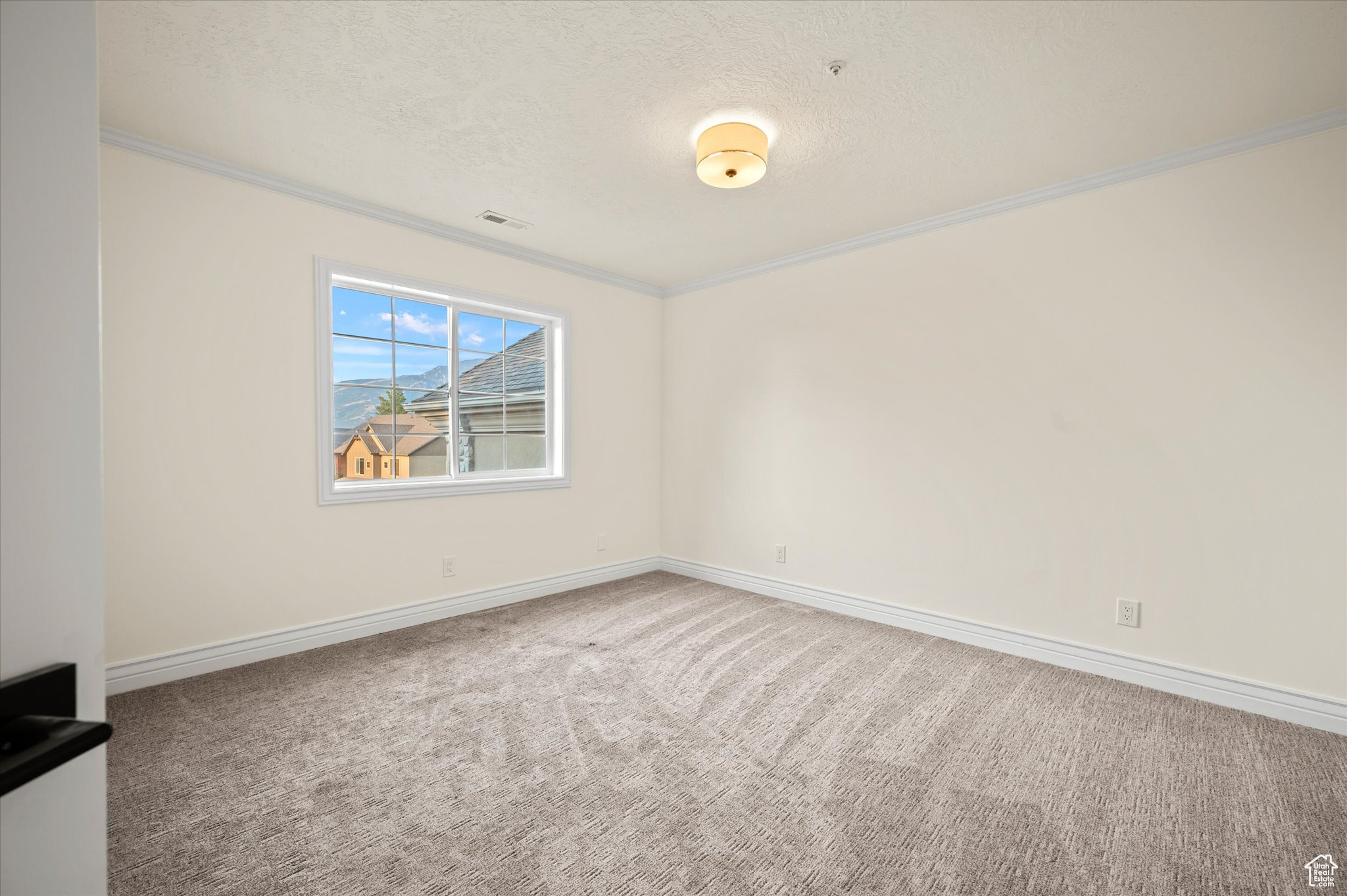 Empty room with carpet flooring, ornamental molding, and a textured ceiling