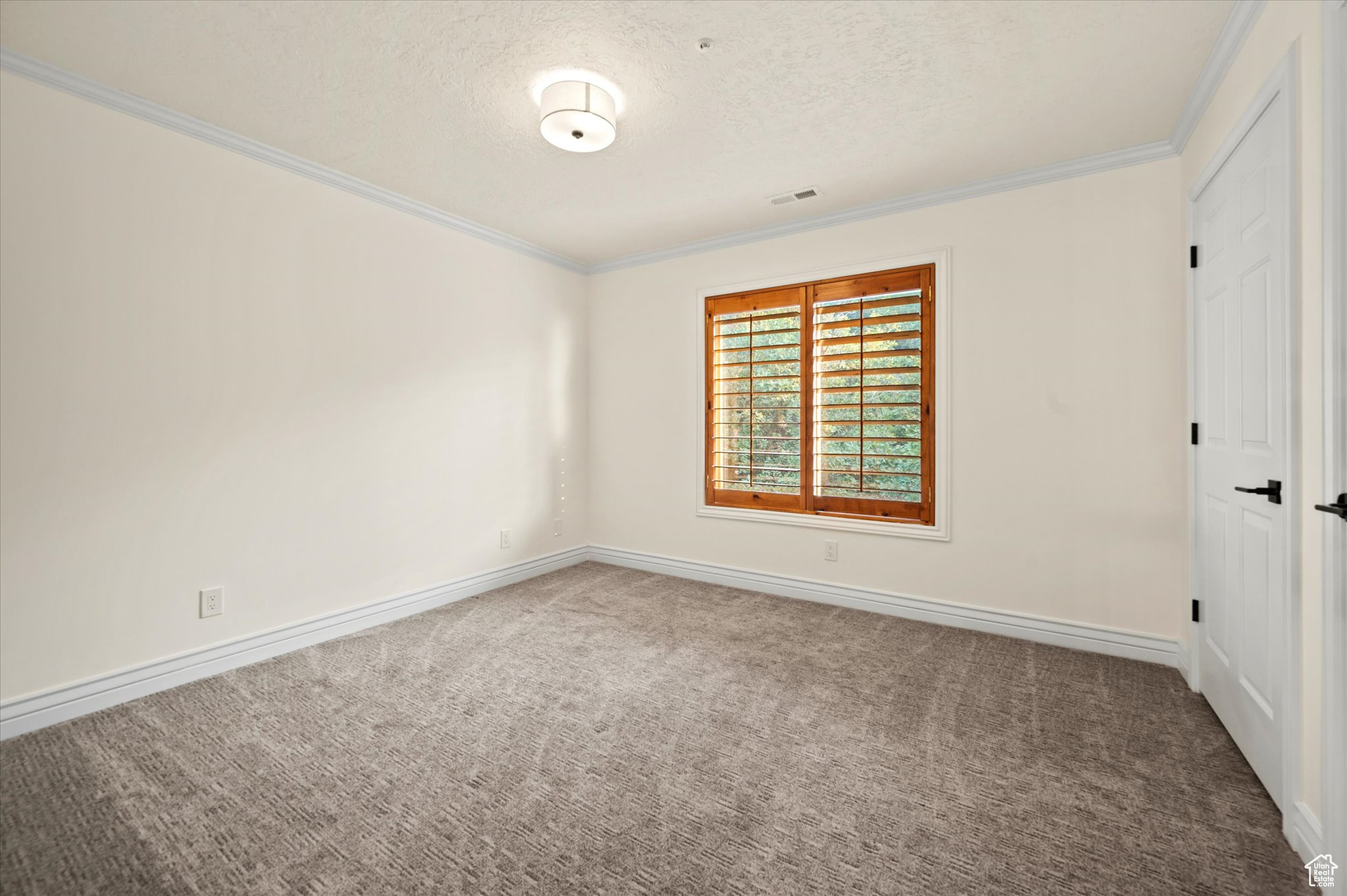 Carpeted spare room with ornamental molding and a textured ceiling