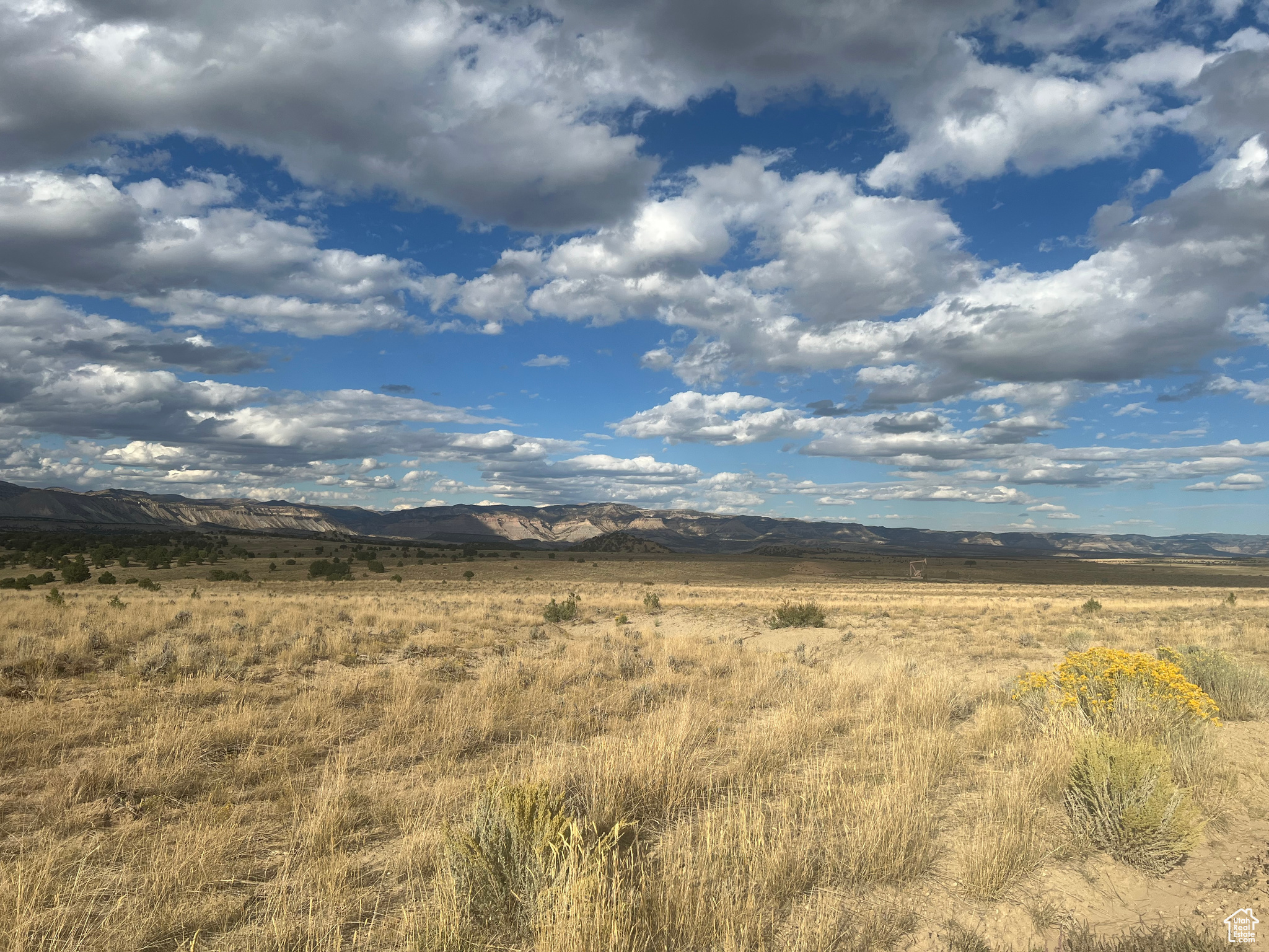 View of local wilderness featuring a rural view and a mountain view