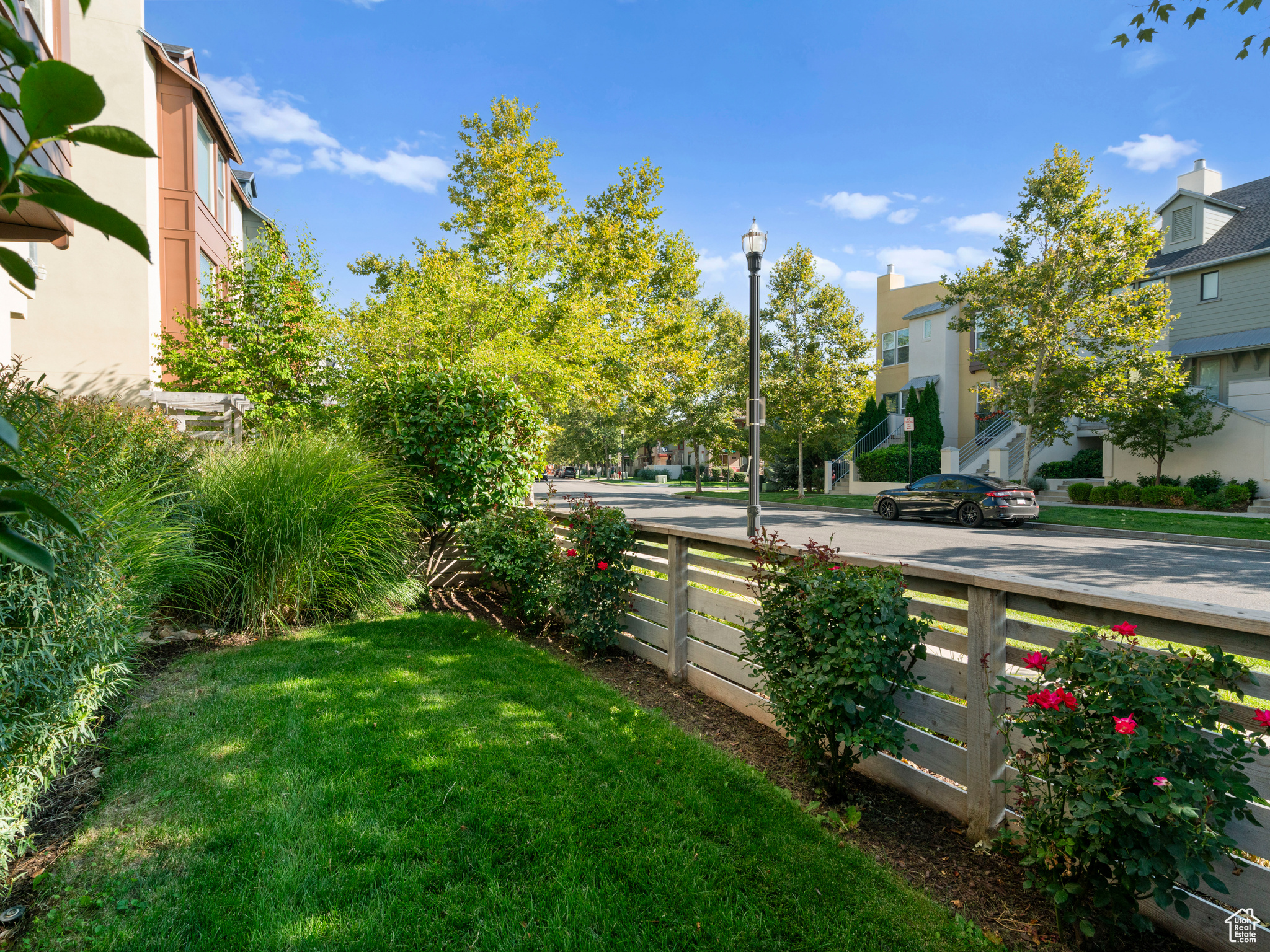 View of side yard gate between front and side yard for dogs