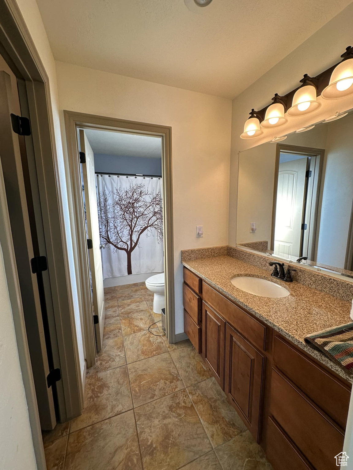 Bathroom with toilet and vanity