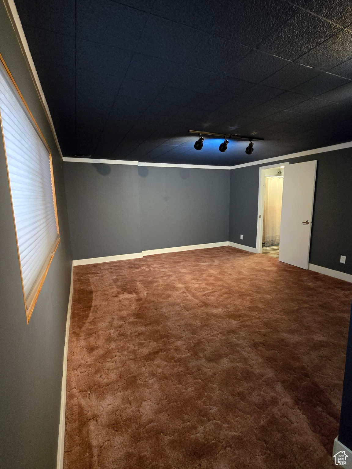 Carpeted spare room with track lighting and ornamental molding