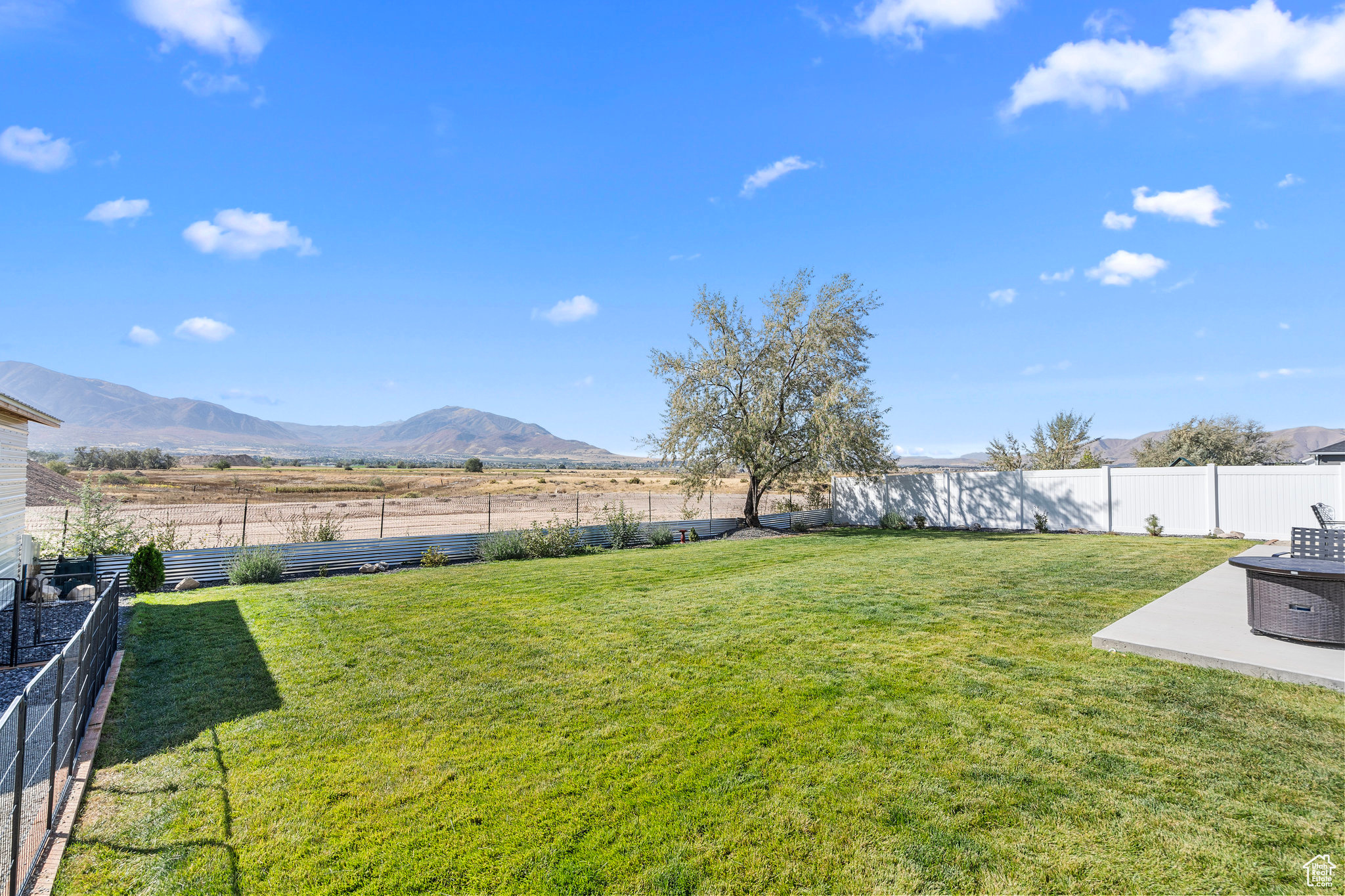 Backyard view