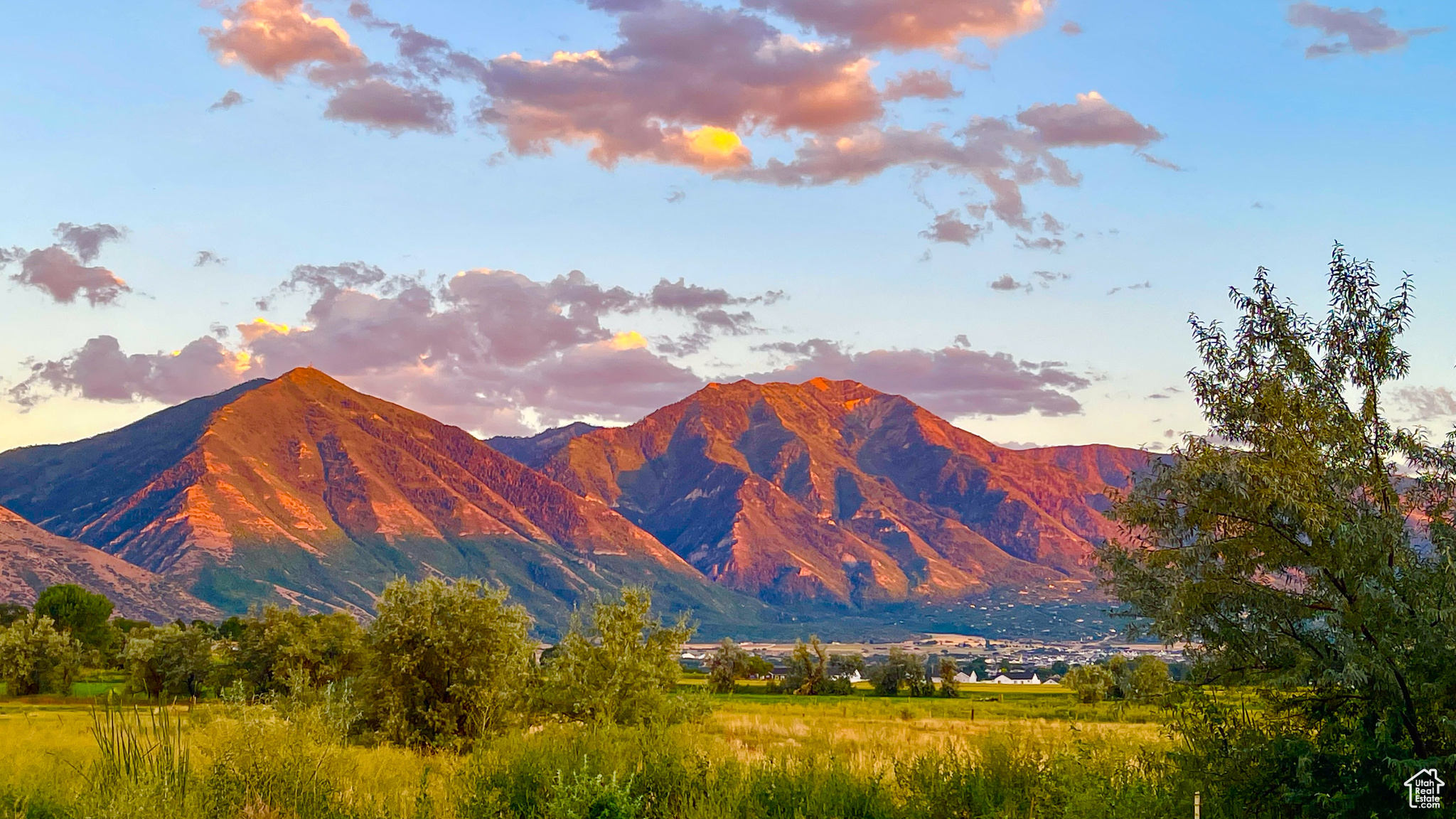 Mountain view