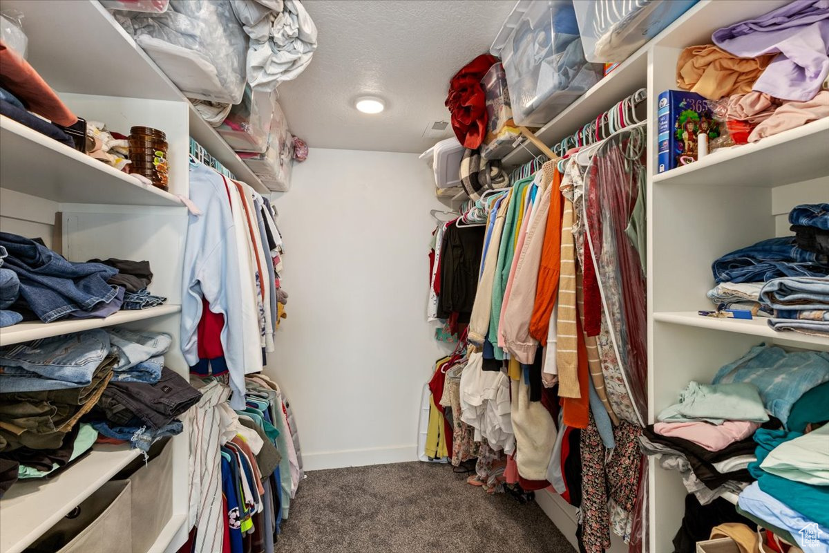 Primary bedroom walk in closet with carpet