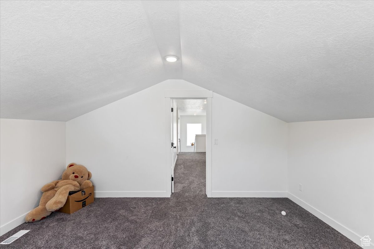 Bonus room with vaulted ceiling, a textured ceiling, and carpet floors