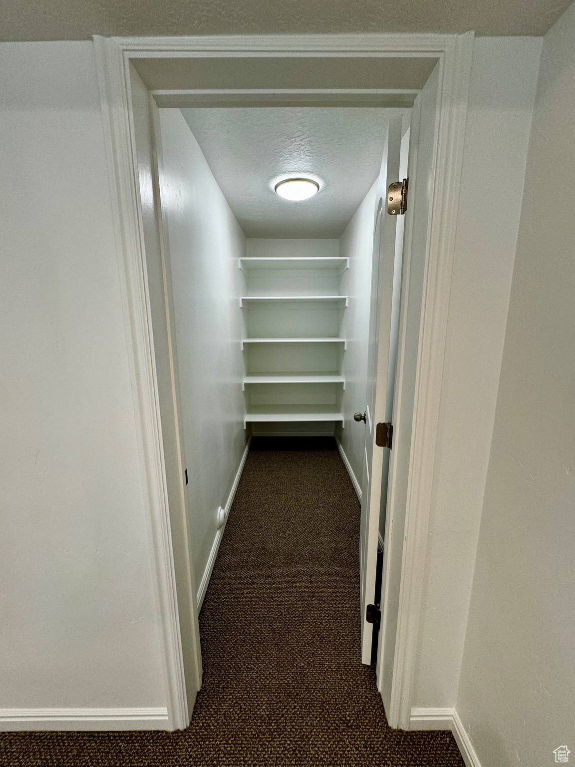 Large storage closet in basement