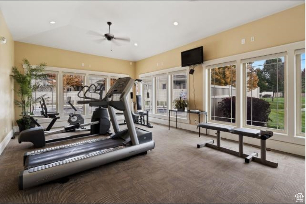 Workout area with lots of sunlight and ceiling fan