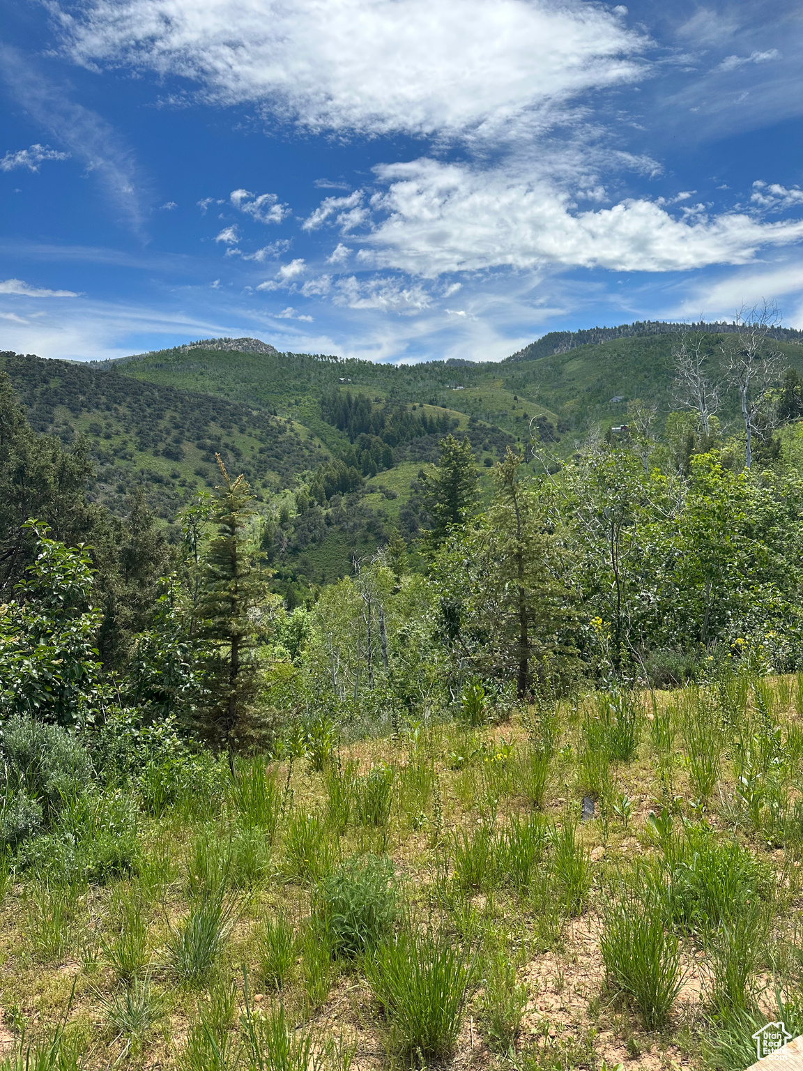 Hyrum, Utah 84319, ,Land,For sale,2022943