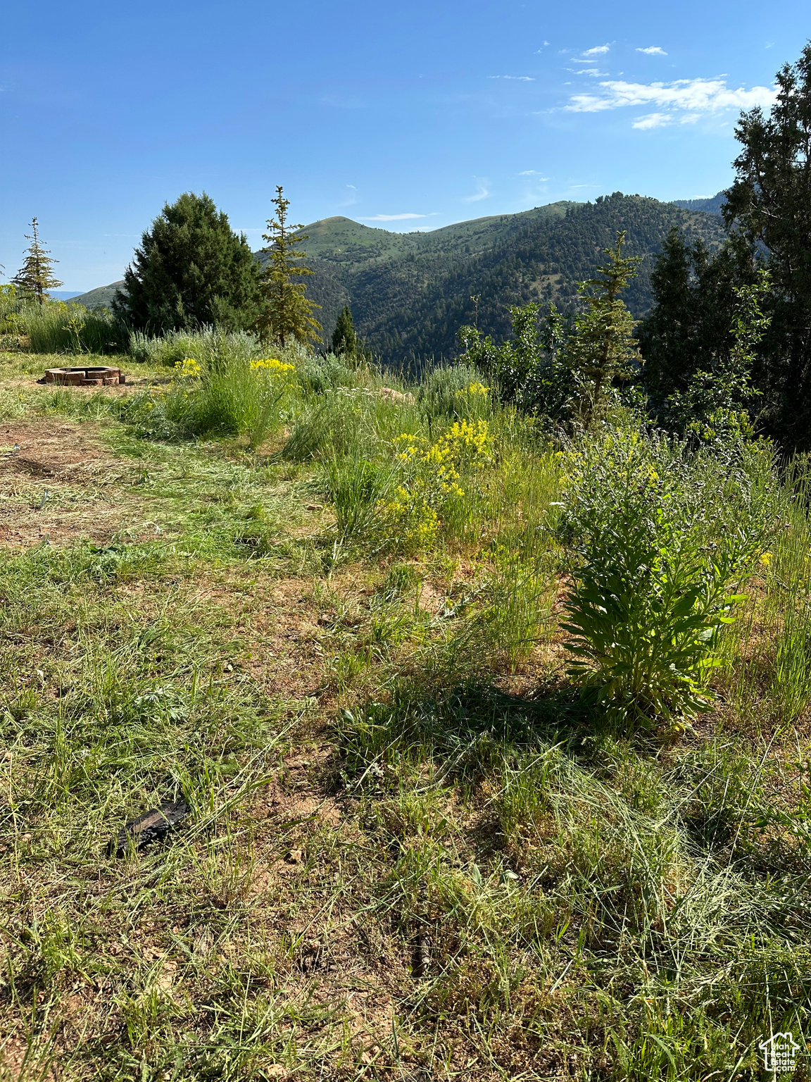 Hyrum, Utah 84319, ,Land,For sale,2022943