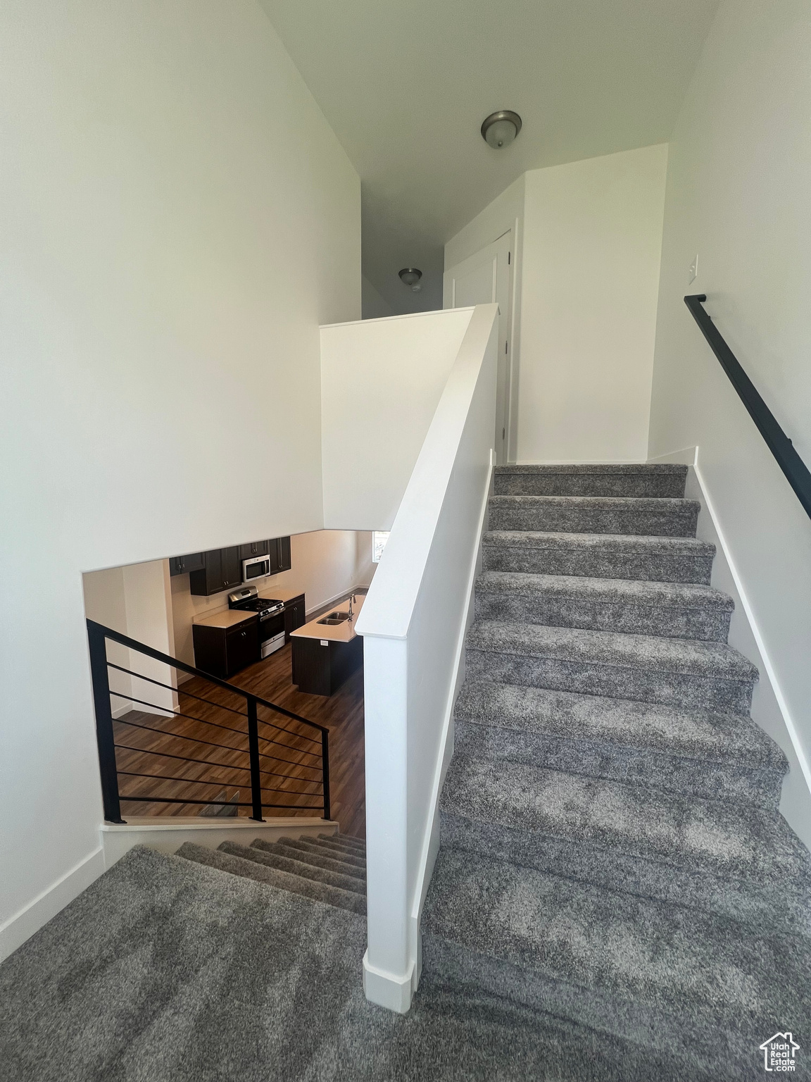 Stairs featuring carpet floors