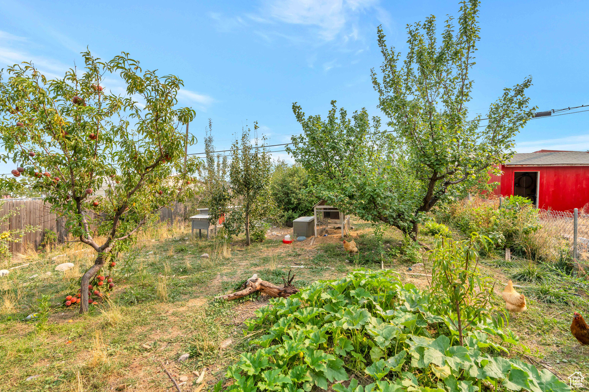 View of yard with an outdoor structure