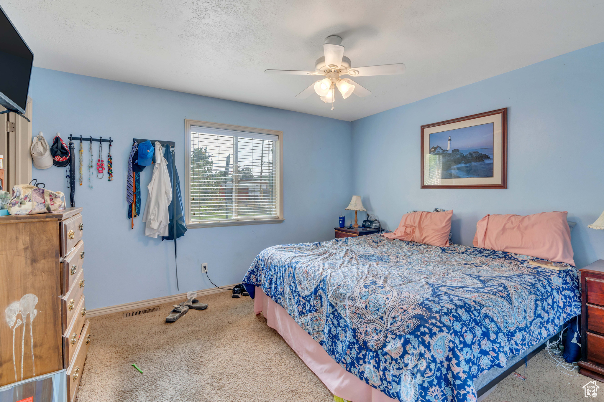 Carpeted bedroom with ceiling fan