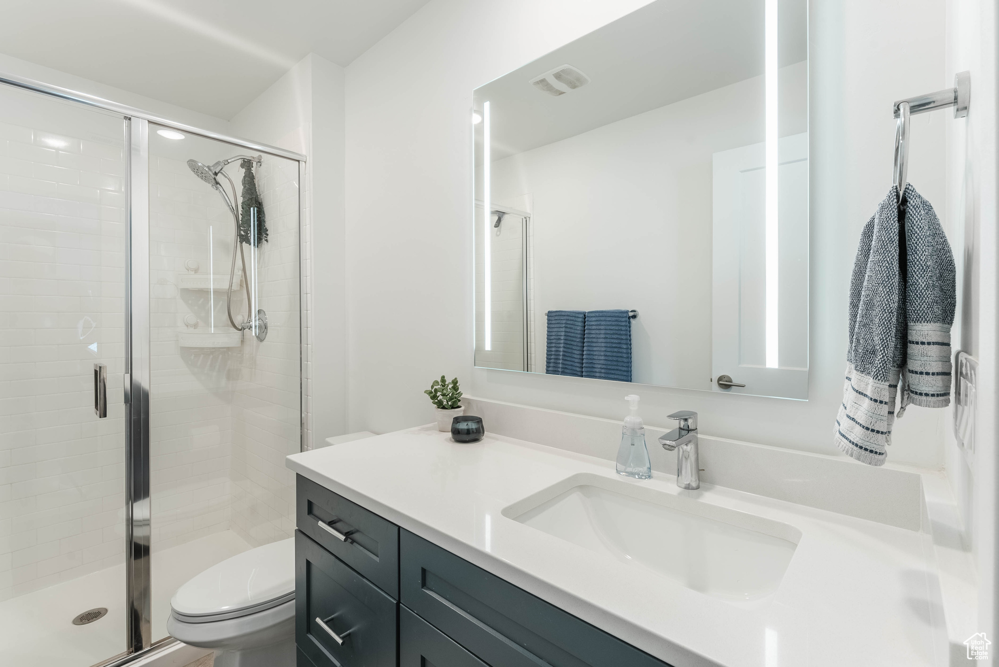 Bathroom with vanity, toilet, and a shower with door