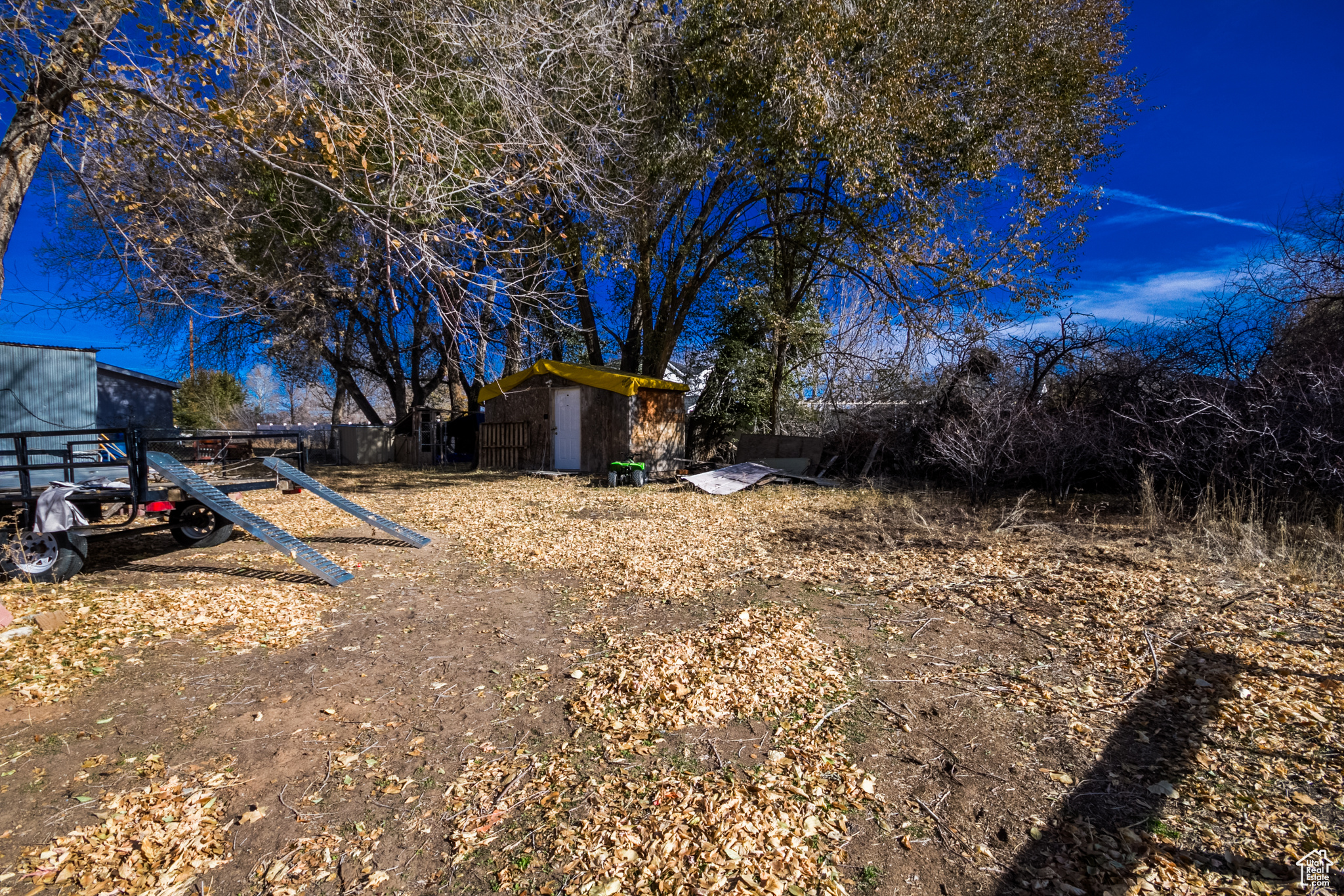 View of yard with a storage shed