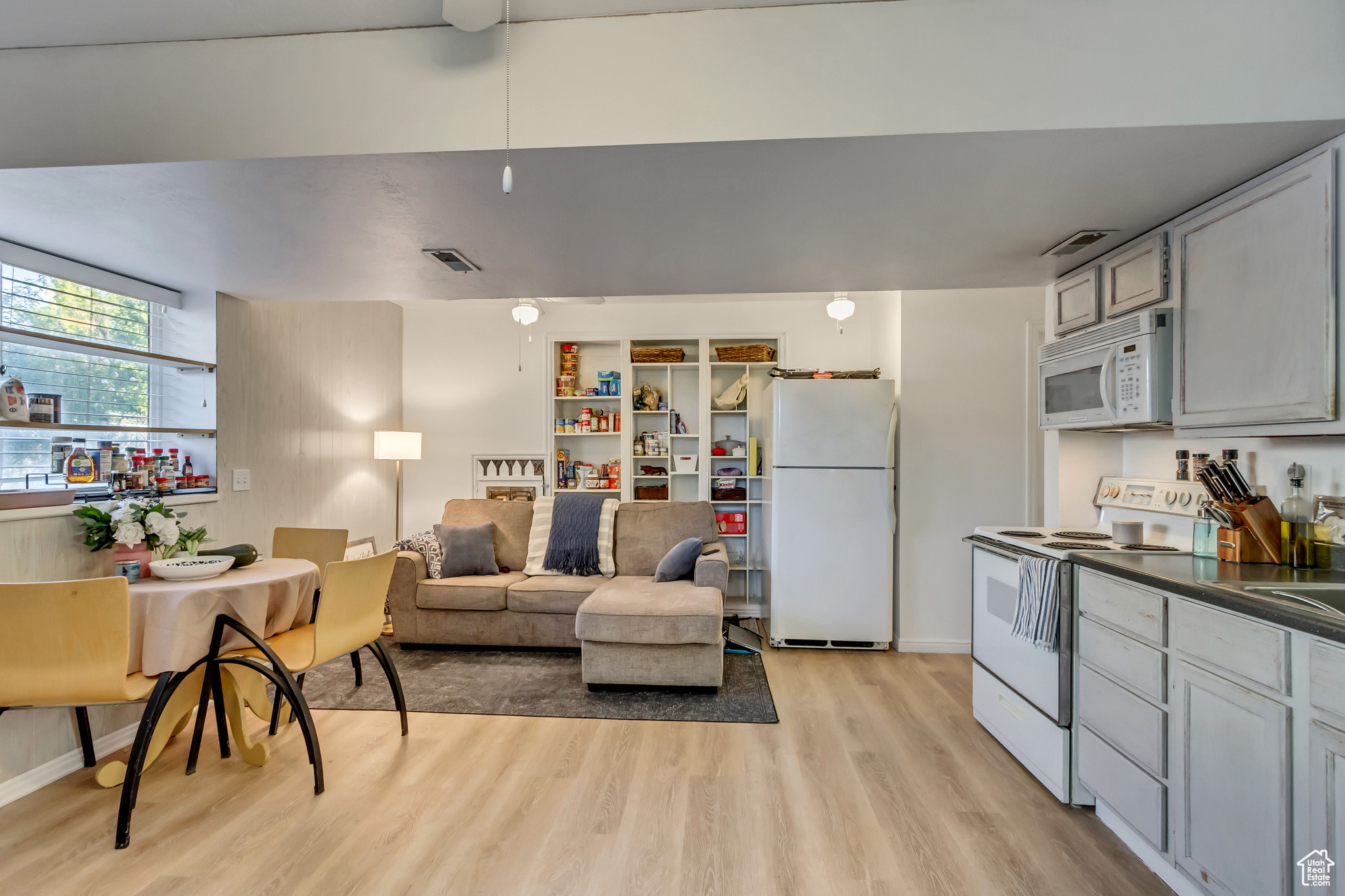 Basement apartment great room