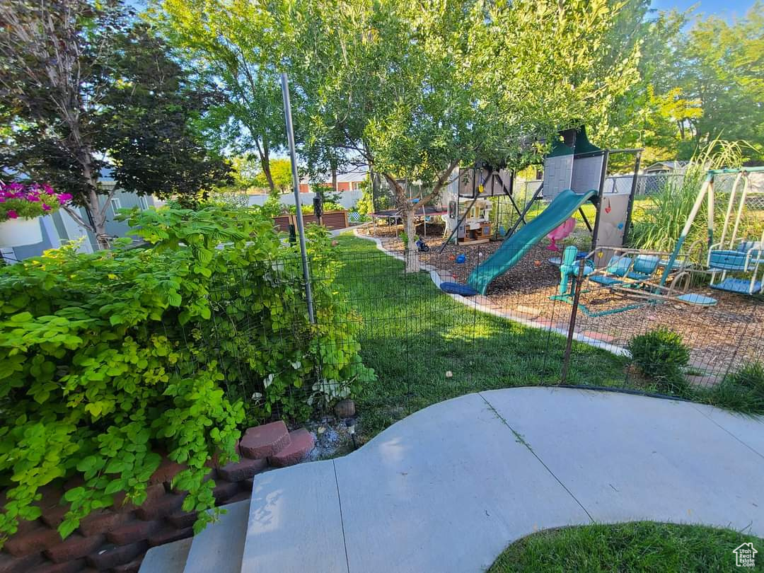 Gorgeous, lush yard and playground