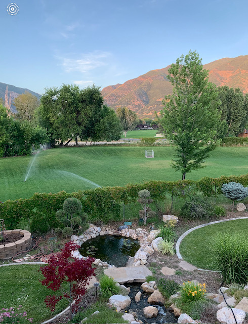 View of yard with a mountain view