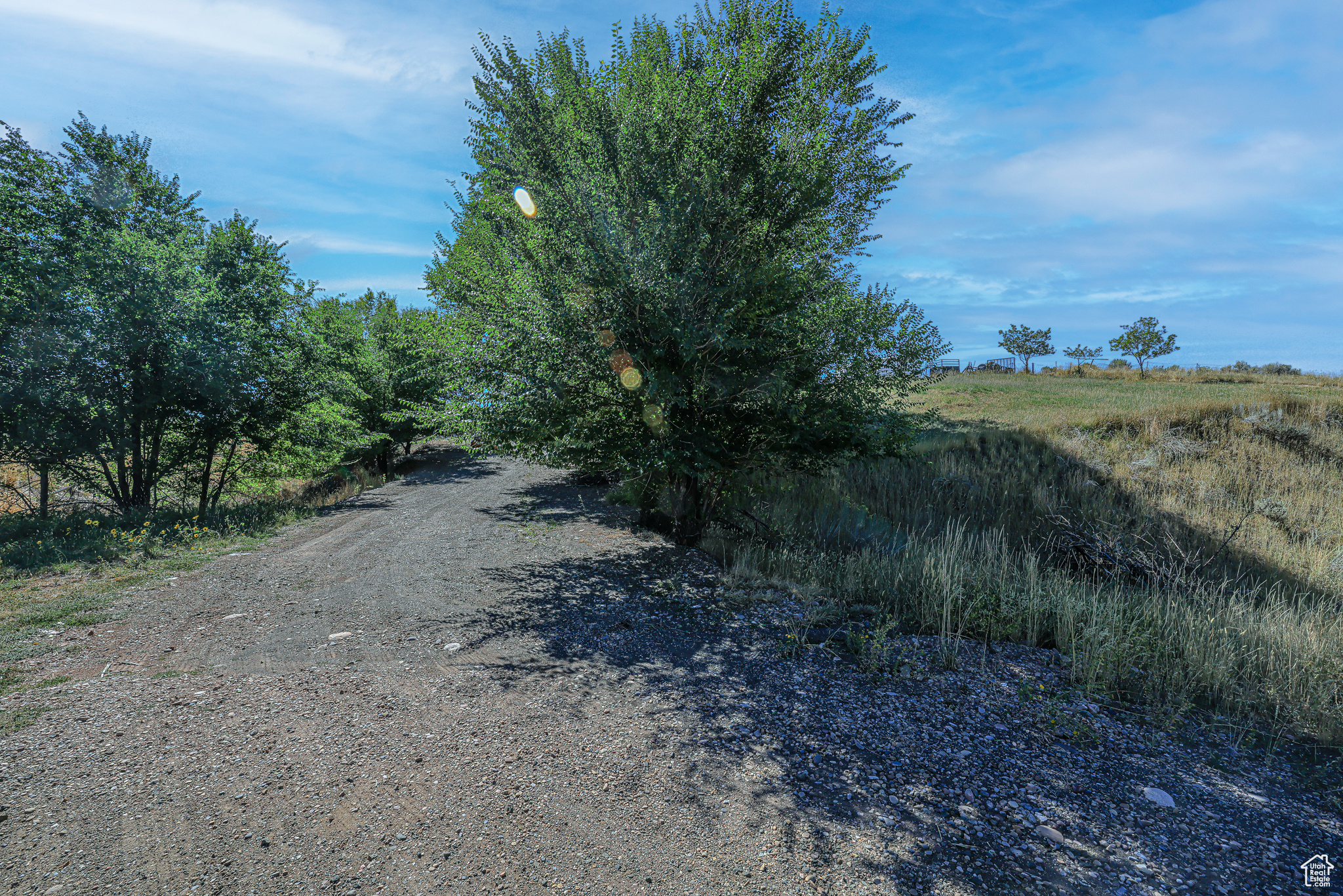 View of road featuring a rural view