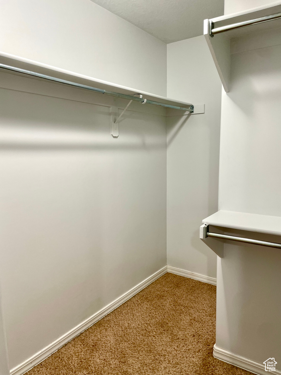 Spacious closet featuring carpet flooring