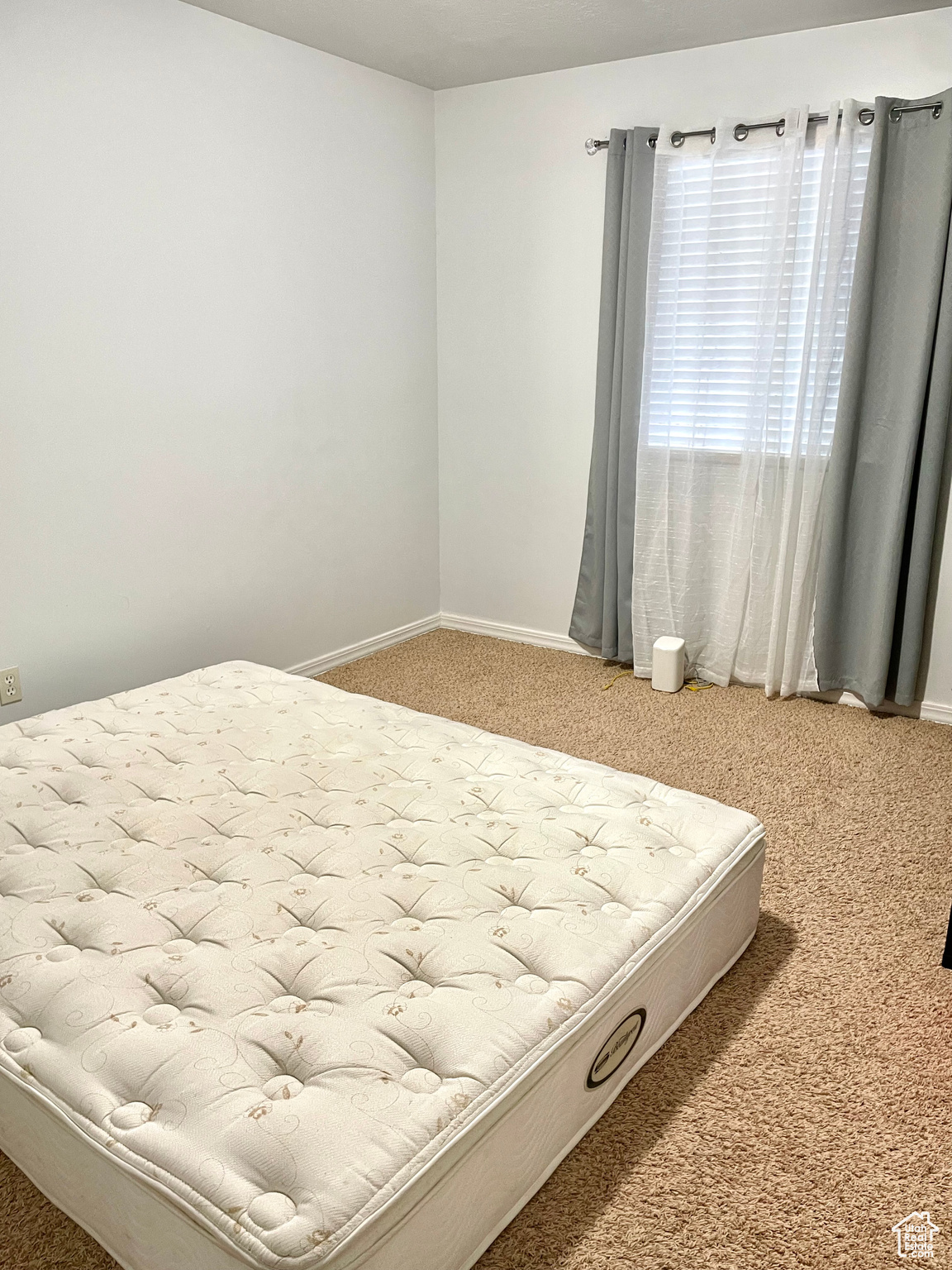 Bedroom with carpet flooring