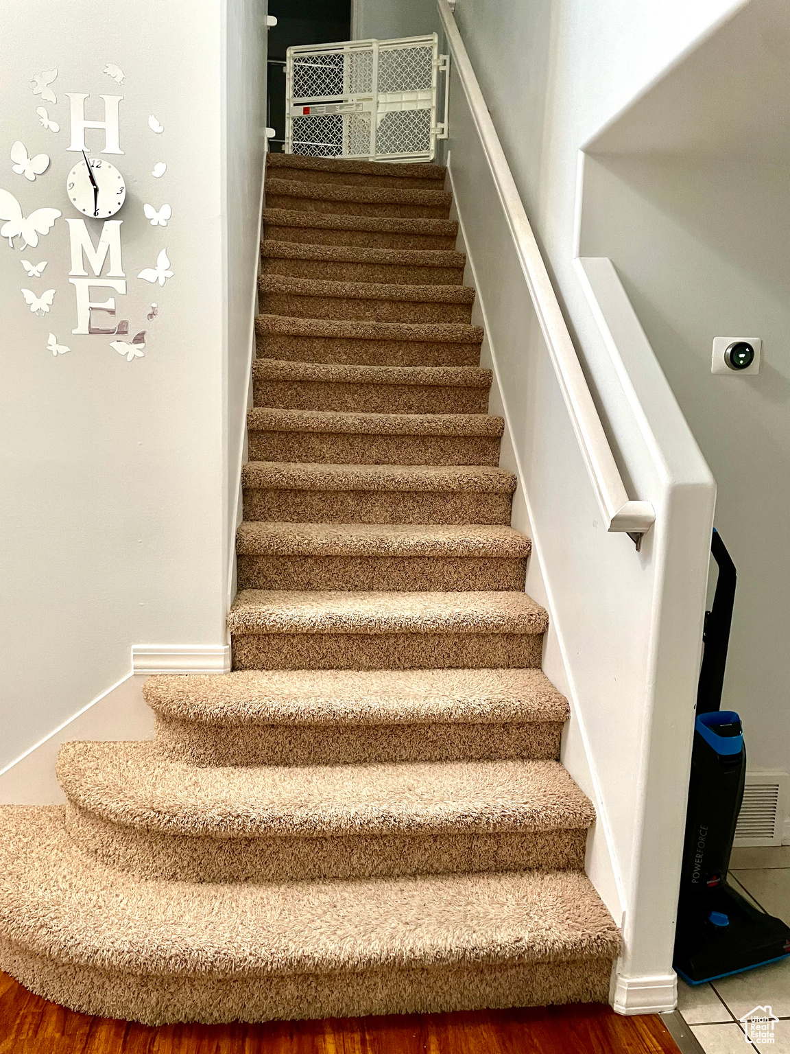 Staircase featuring hardwood / wood-style floors