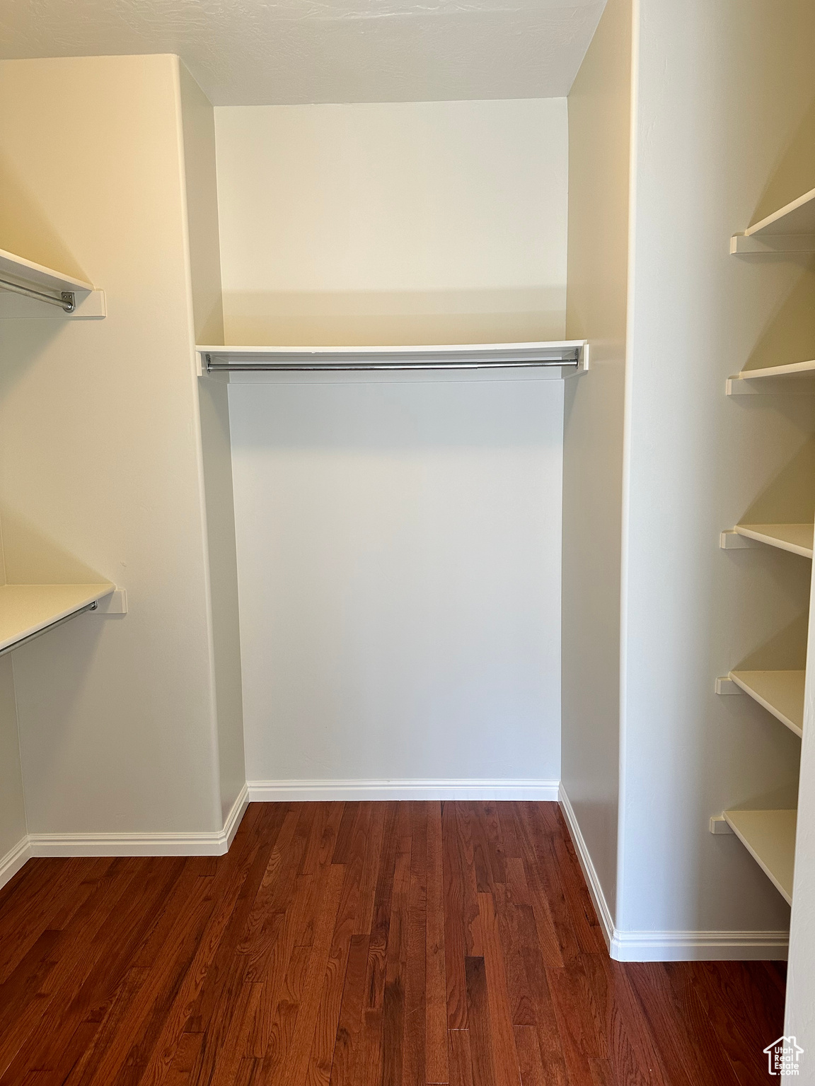 Walk in closet featuring dark hardwood / wood-style flooring