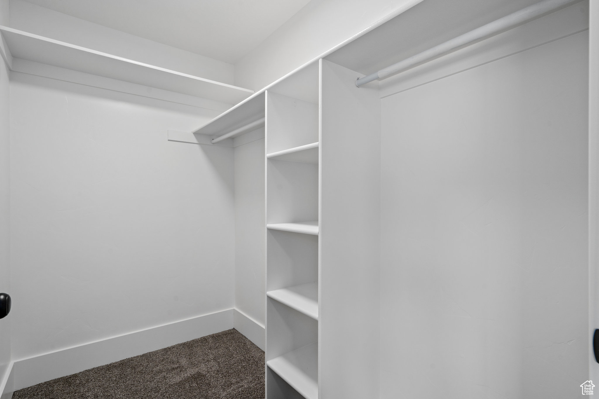 Walk in closet featuring dark carpet