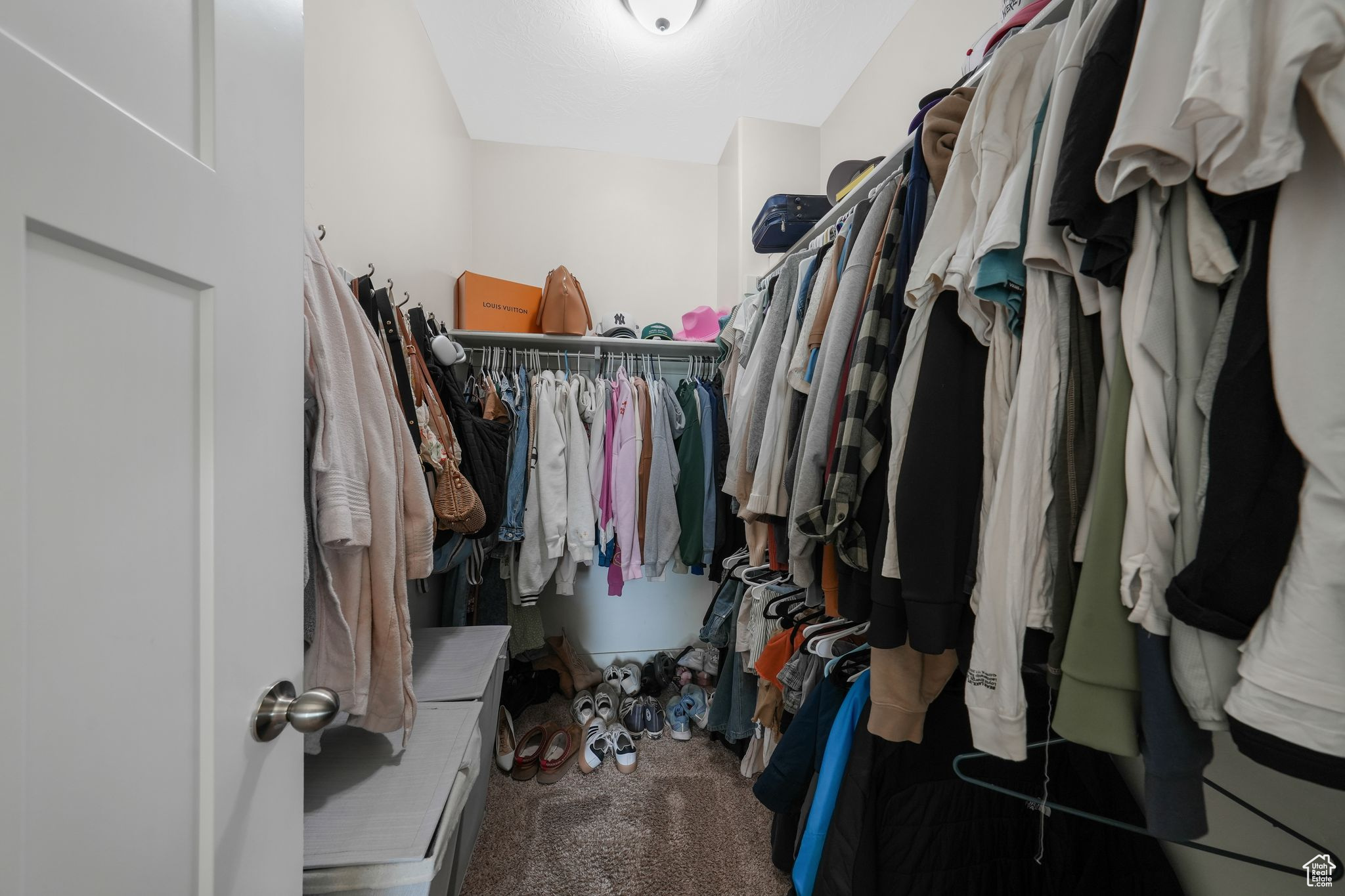 Walk in closet with carpet floors