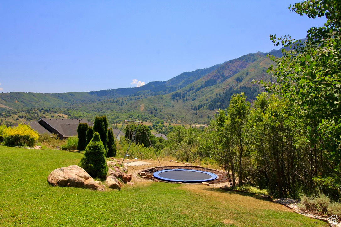 Lower Backyard includes a trampoline and swing set.