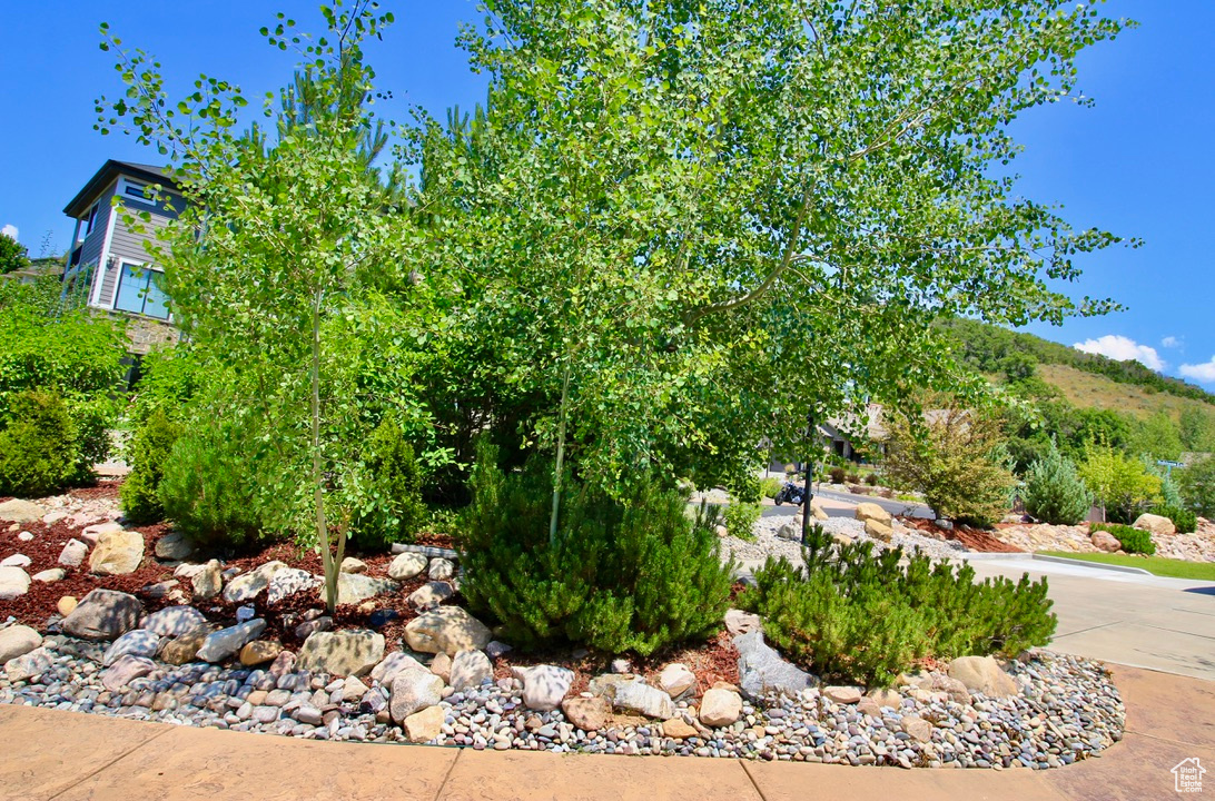 View yards highlighting environmentally friendly landscaping with rock features and drought-tolerant plants surrounding lawns that invite your family to play outside.