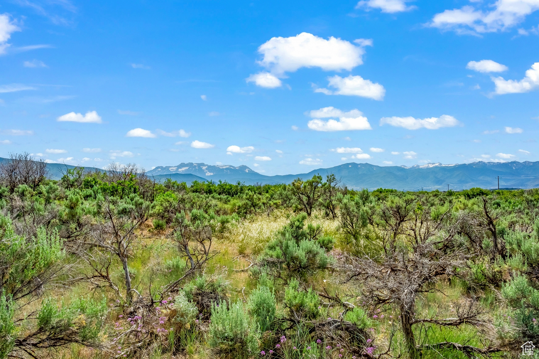 10 S SKYLINE VIEW DR
