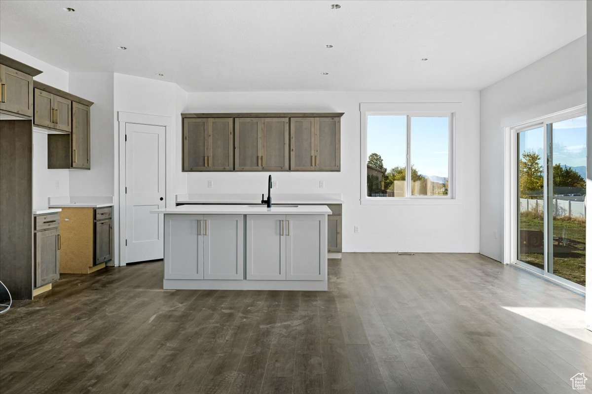 Kitchen with dark hardwood / wood-style floors, sink, and an island with sink