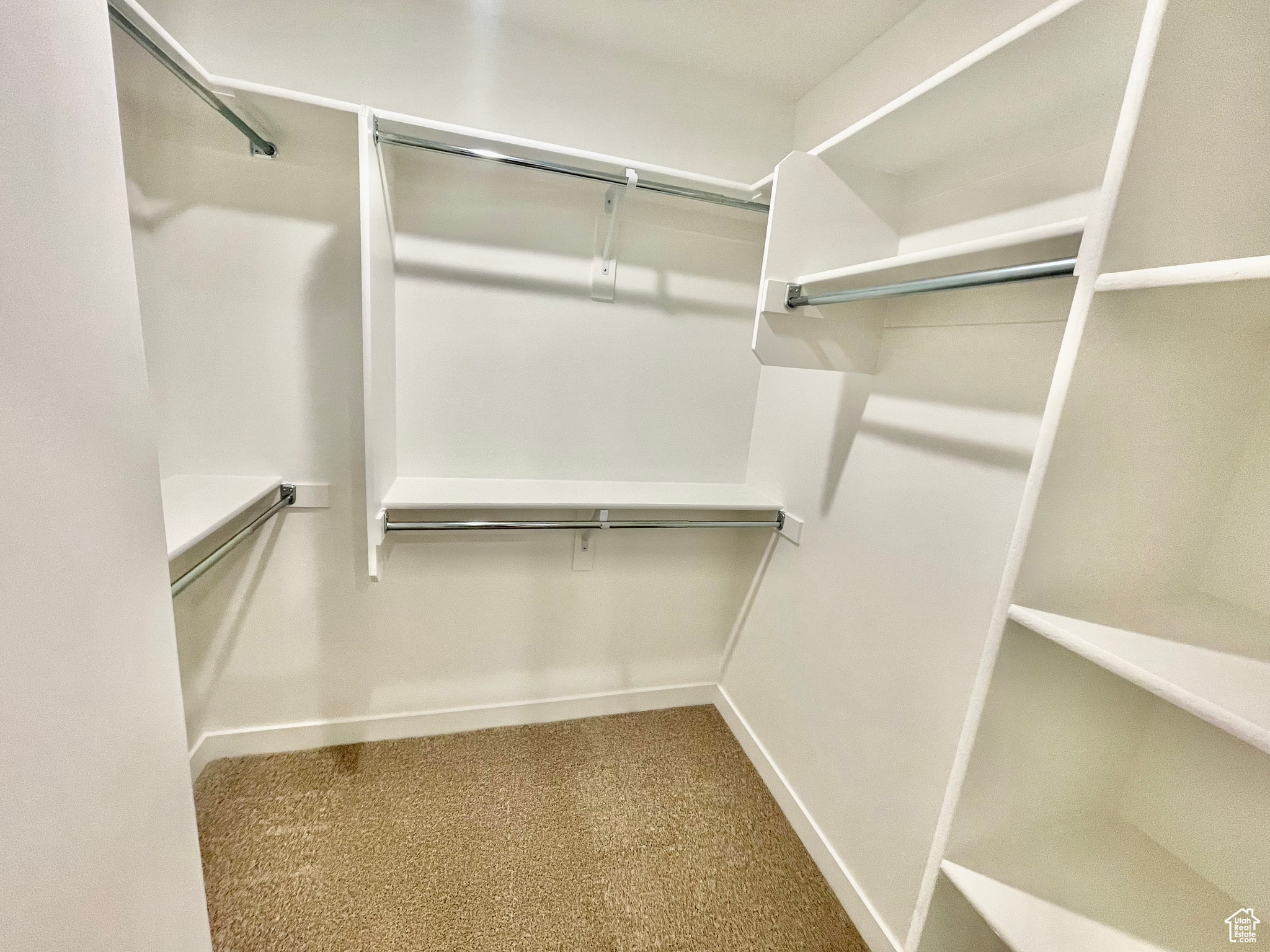 Spacious closet featuring carpet floors