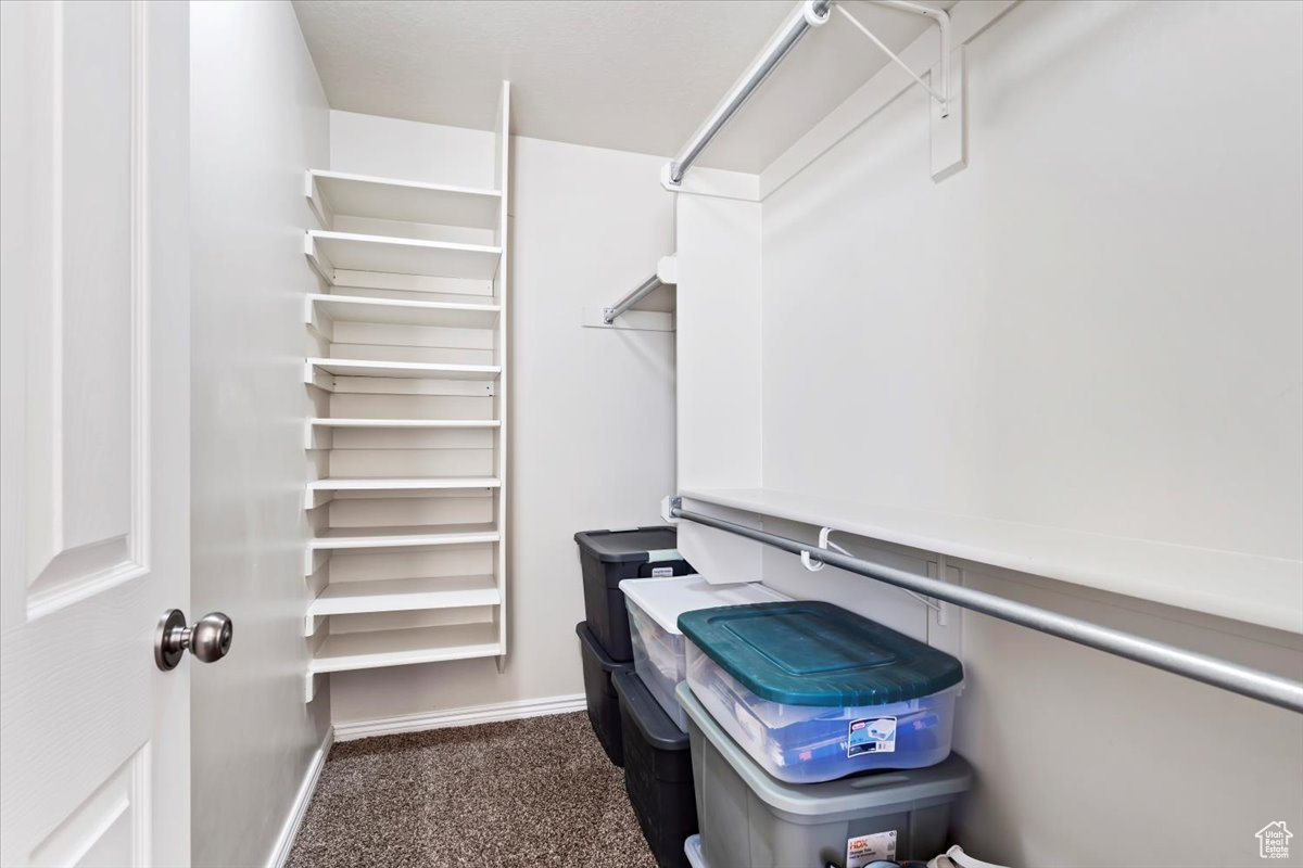 Spacious closet featuring dark colored carpet