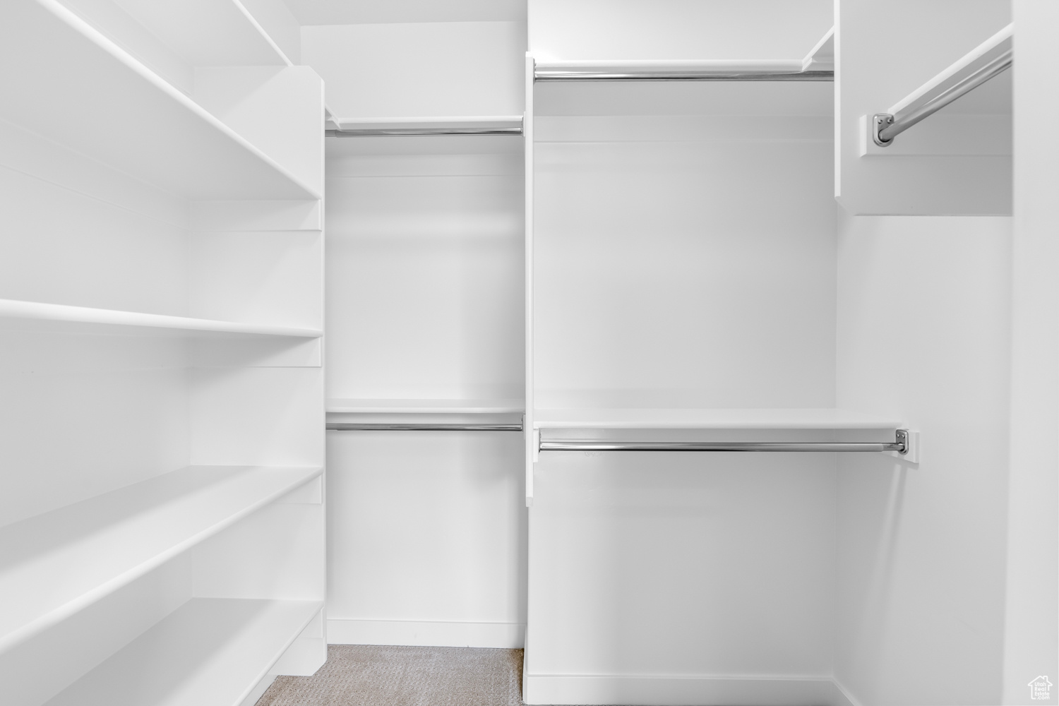 Spacious closet featuring light carpet