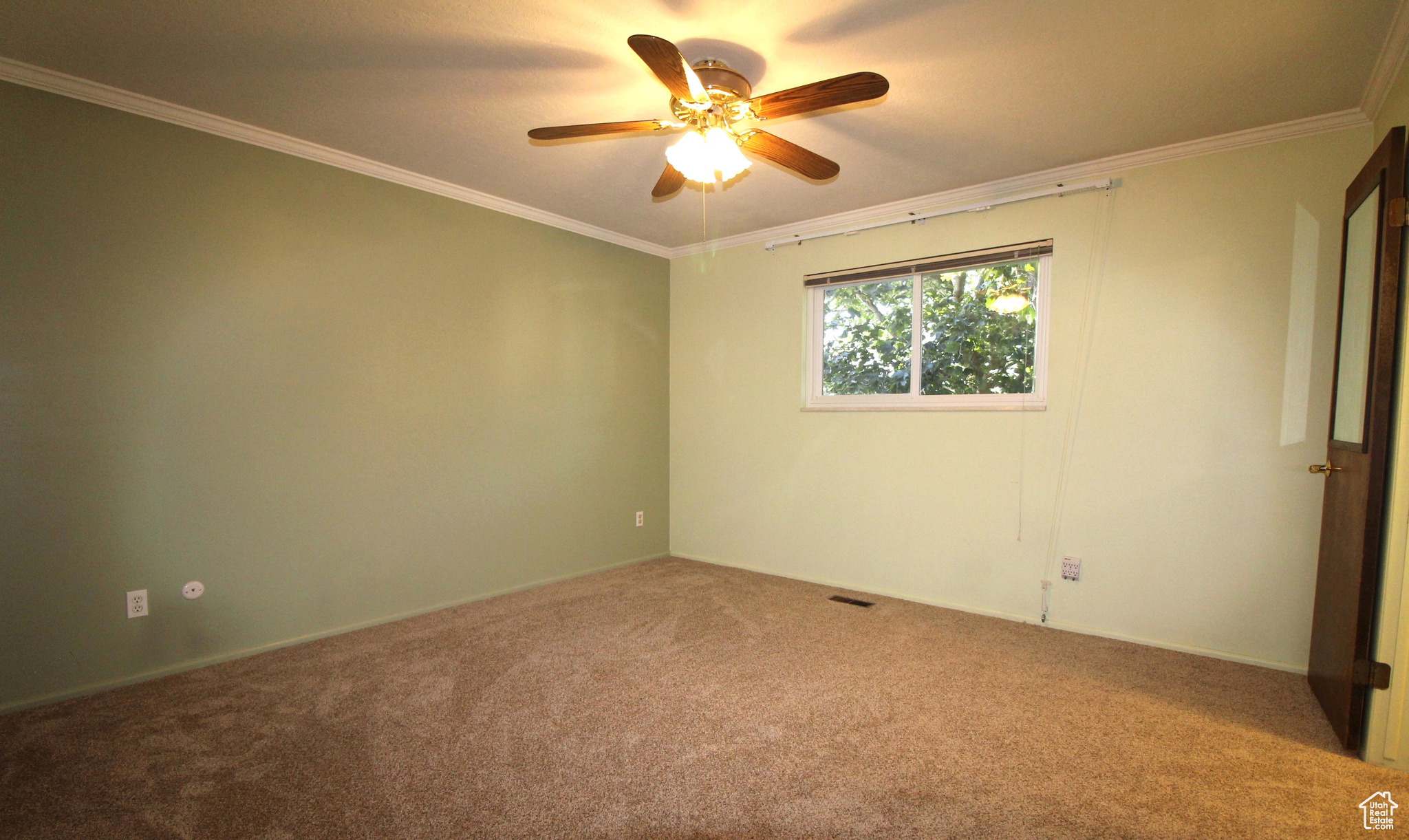 Primary bedroom featuring ornamental molding, and ceiling fan