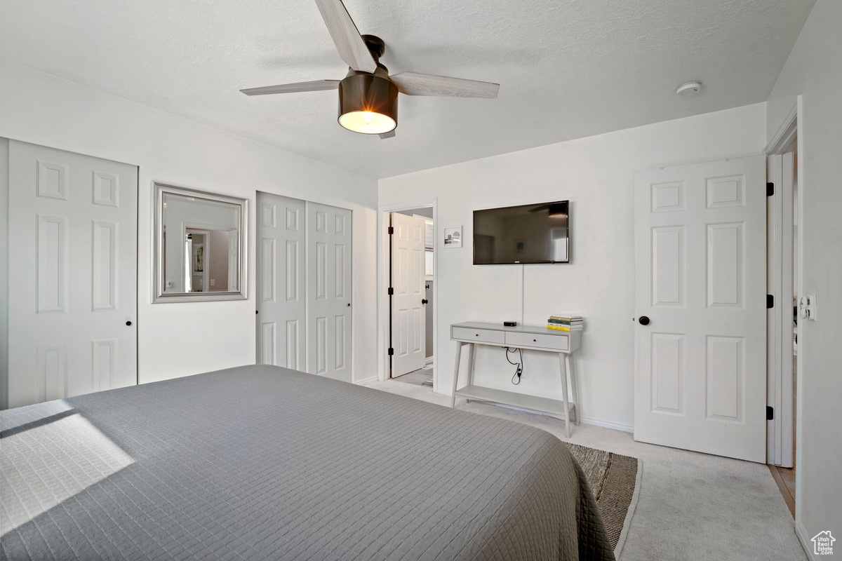 Master Bedroom with Bathroom Entrance