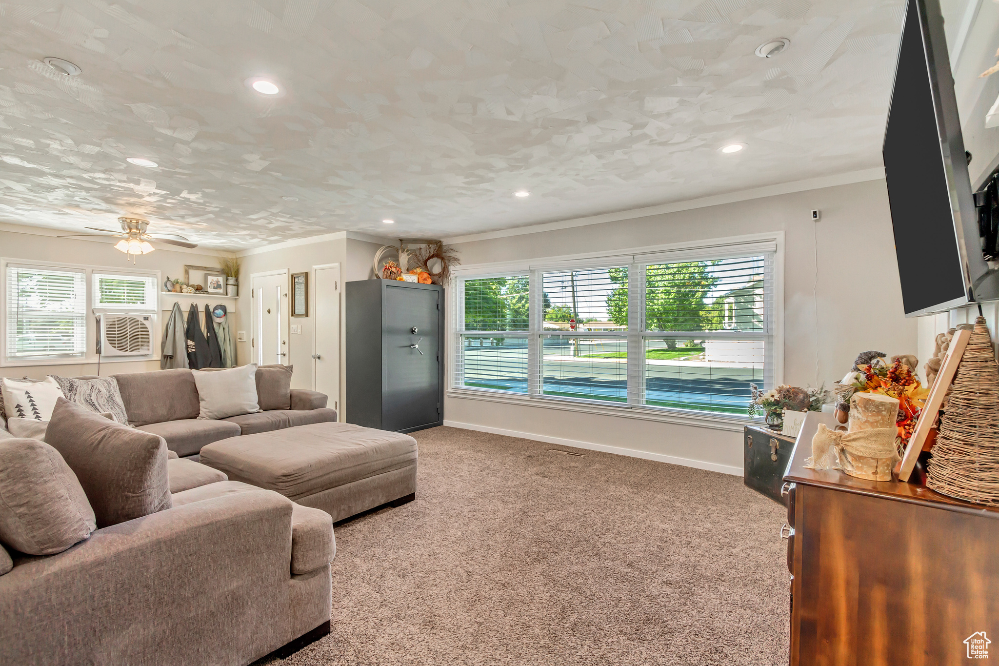 Living room featuring ceiling fan, crown molding, and carpet