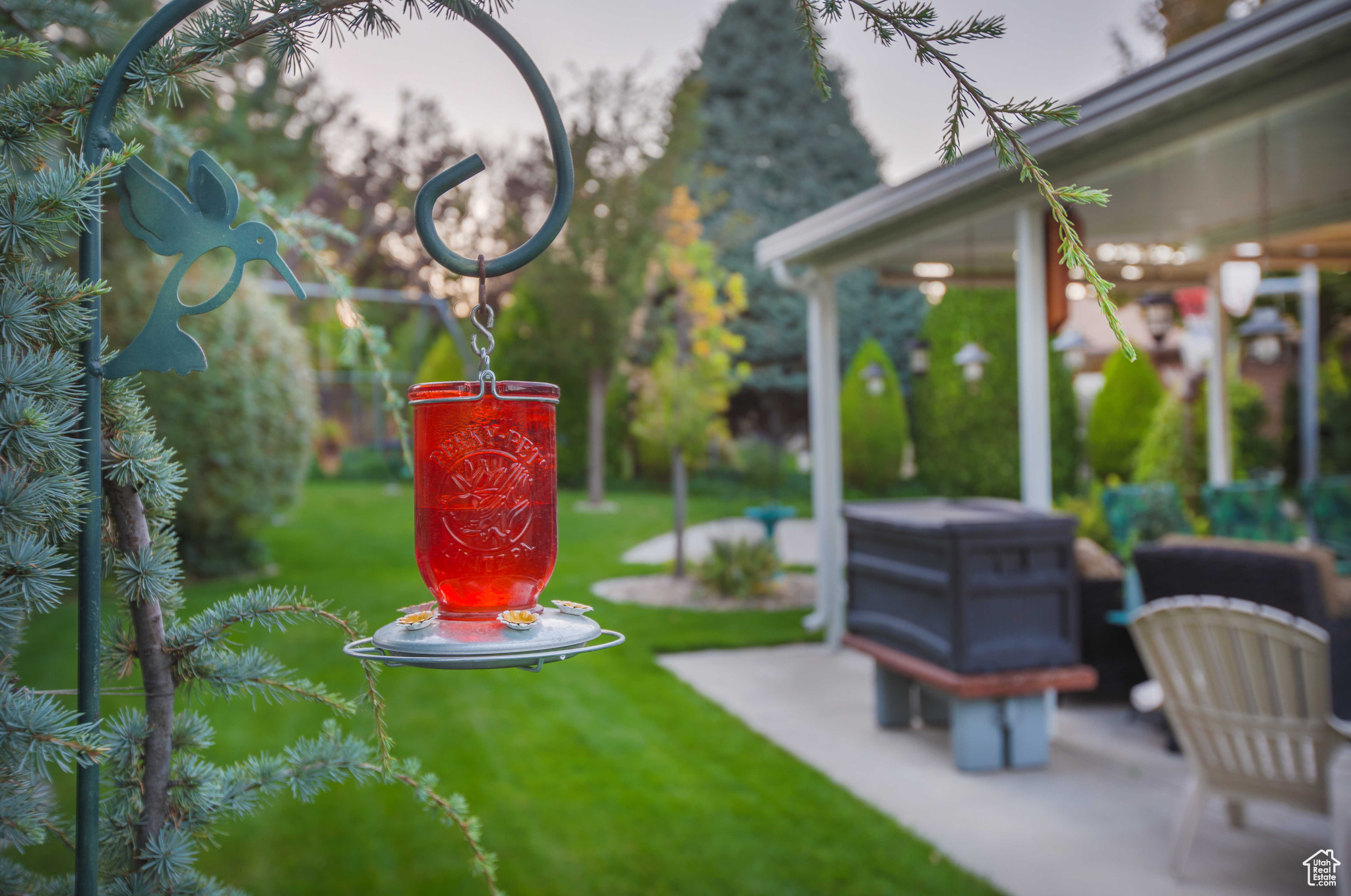 Large flat backyard with beautiful ornamental greenery.