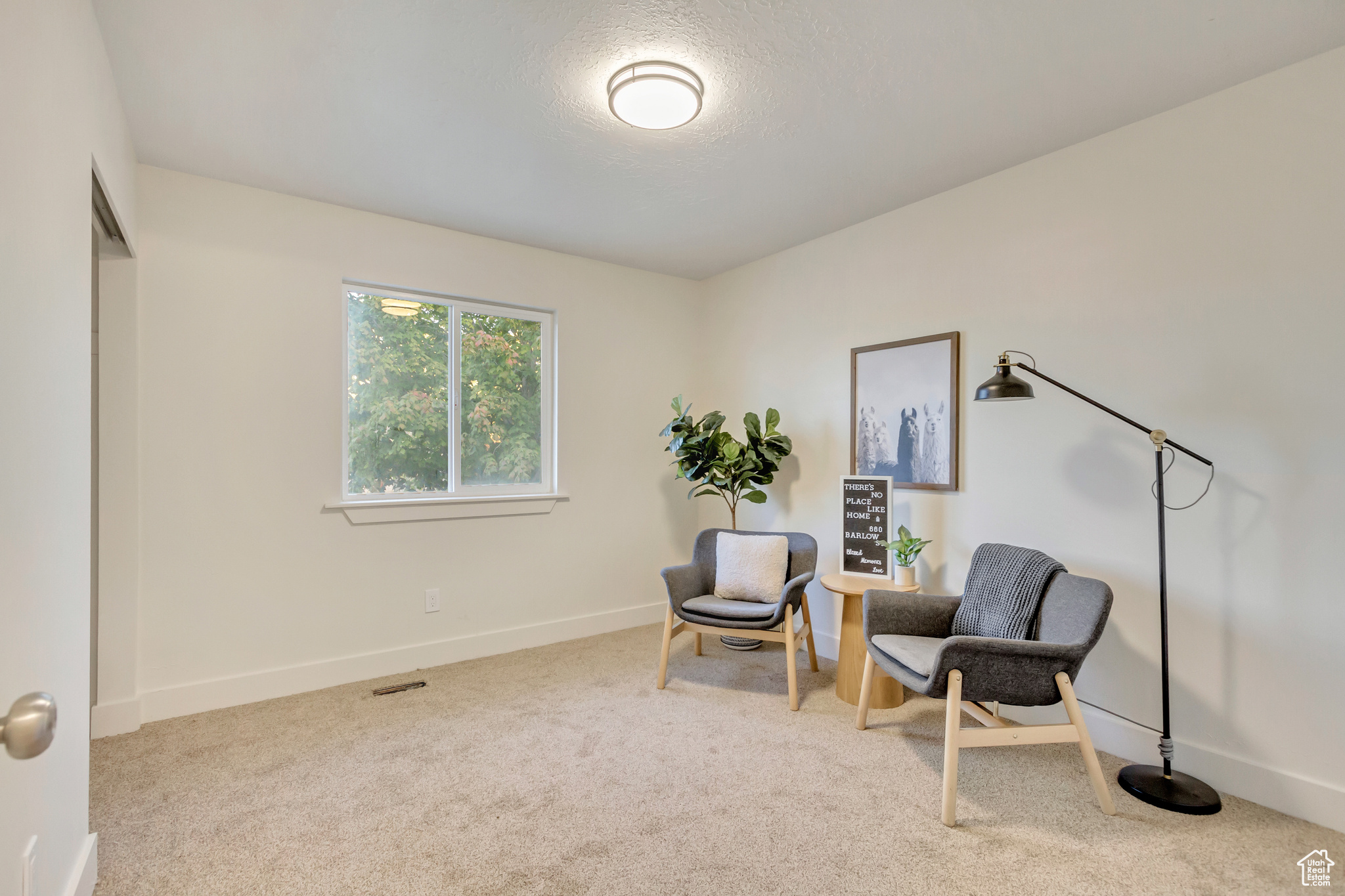 Sitting room with carpet flooring