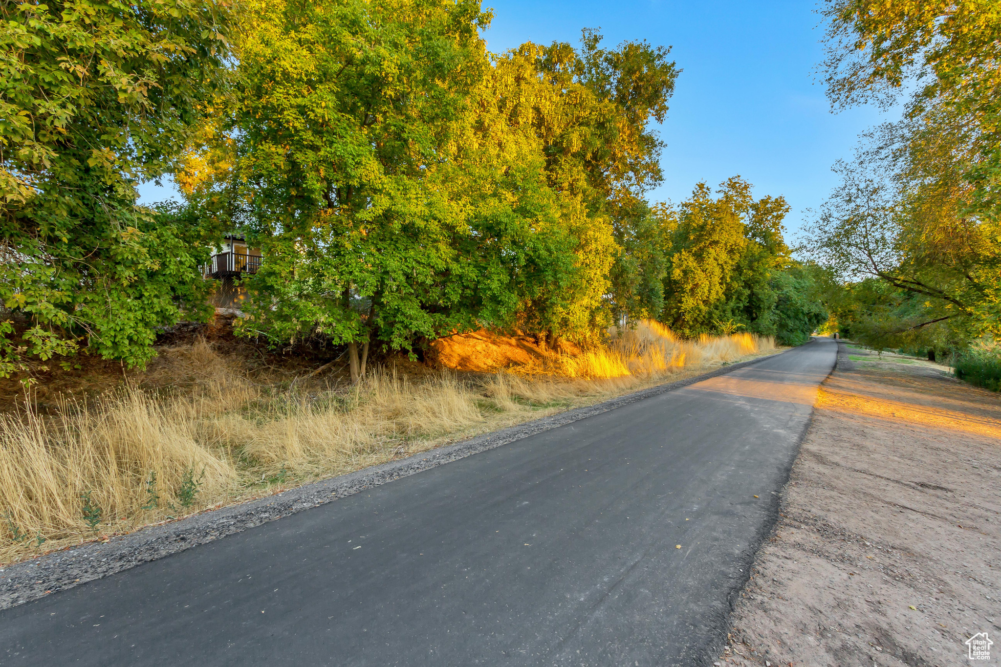 View of trail