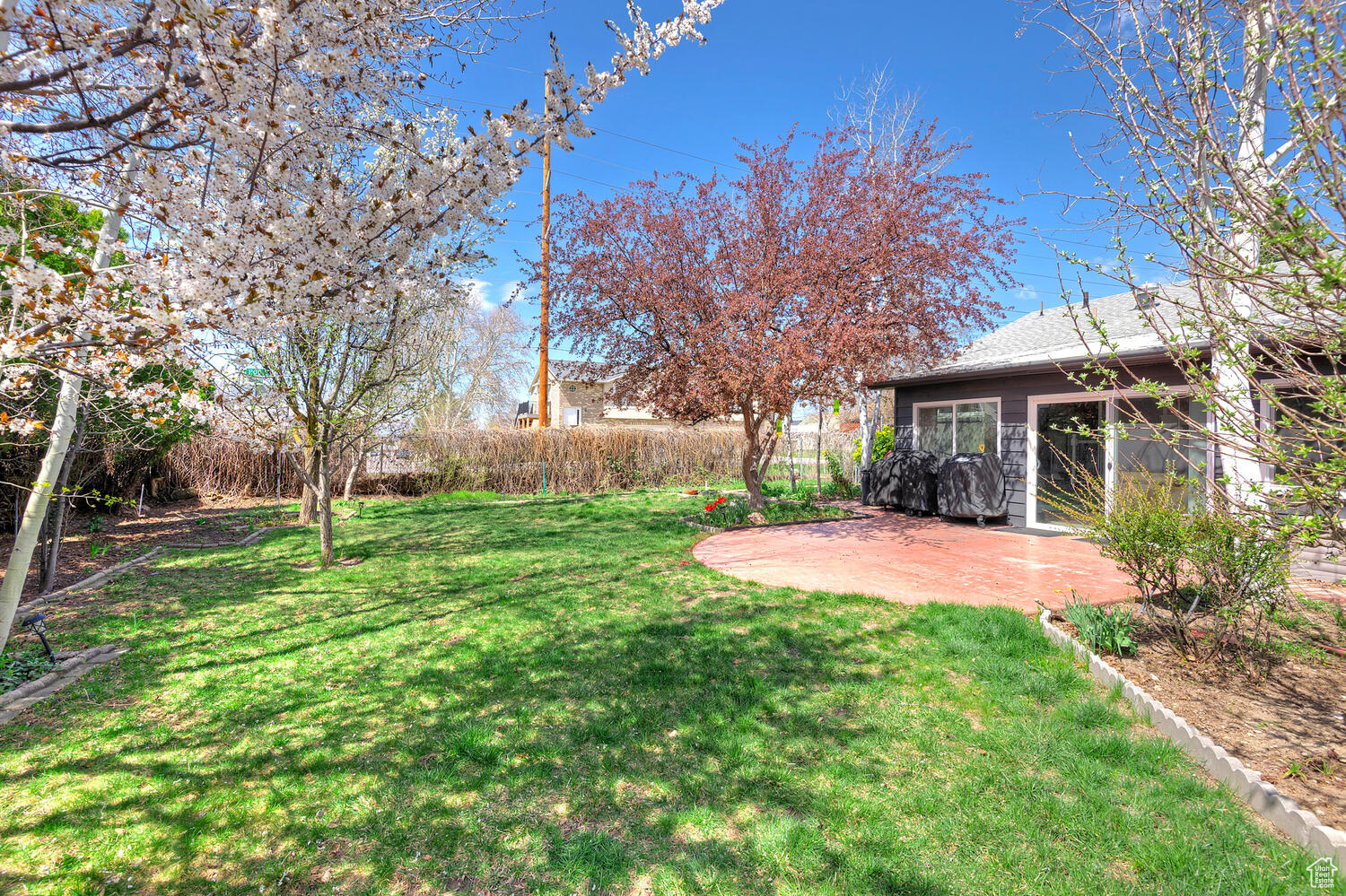 View of yard featuring a patio