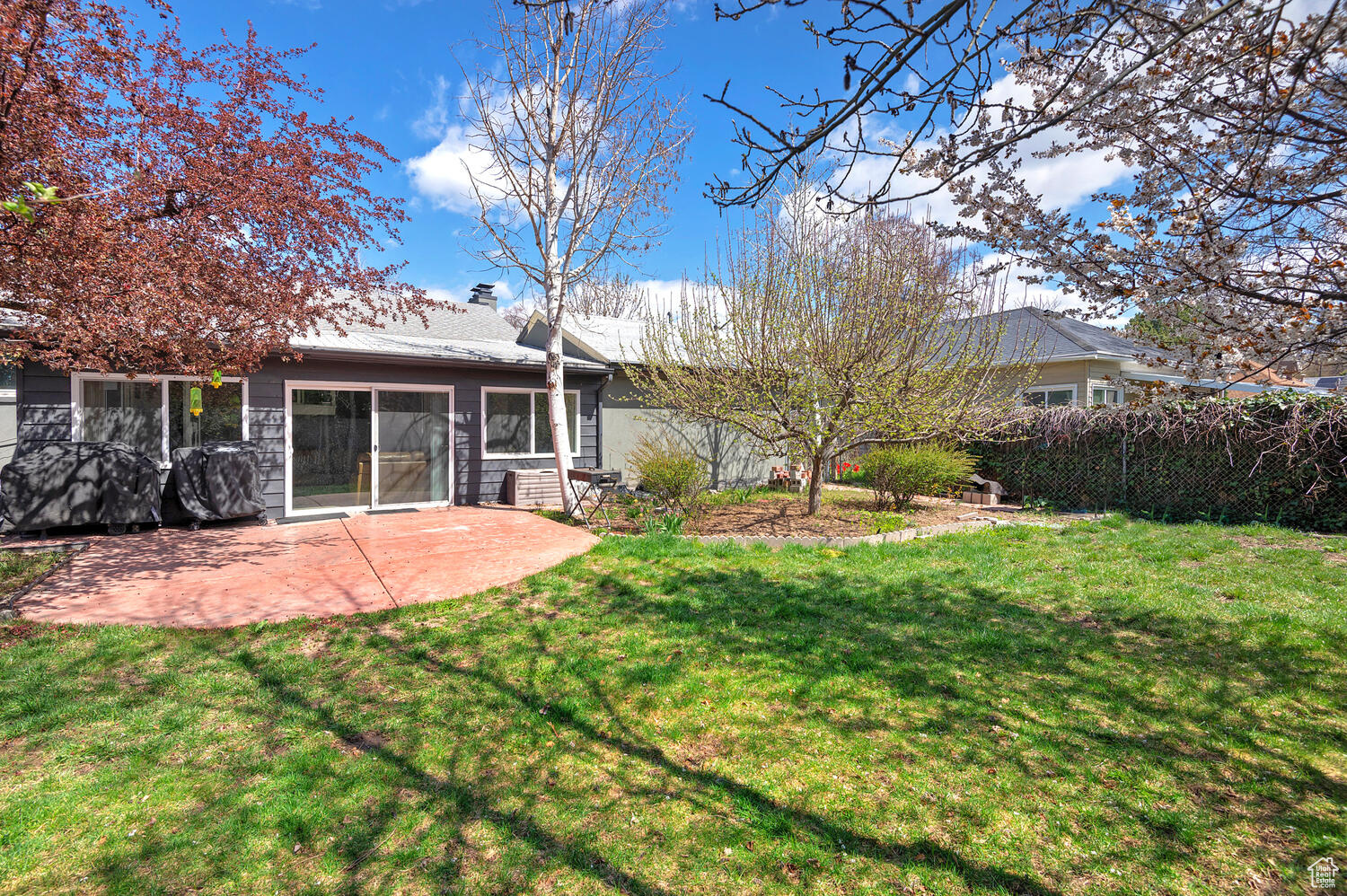 View of yard featuring a patio