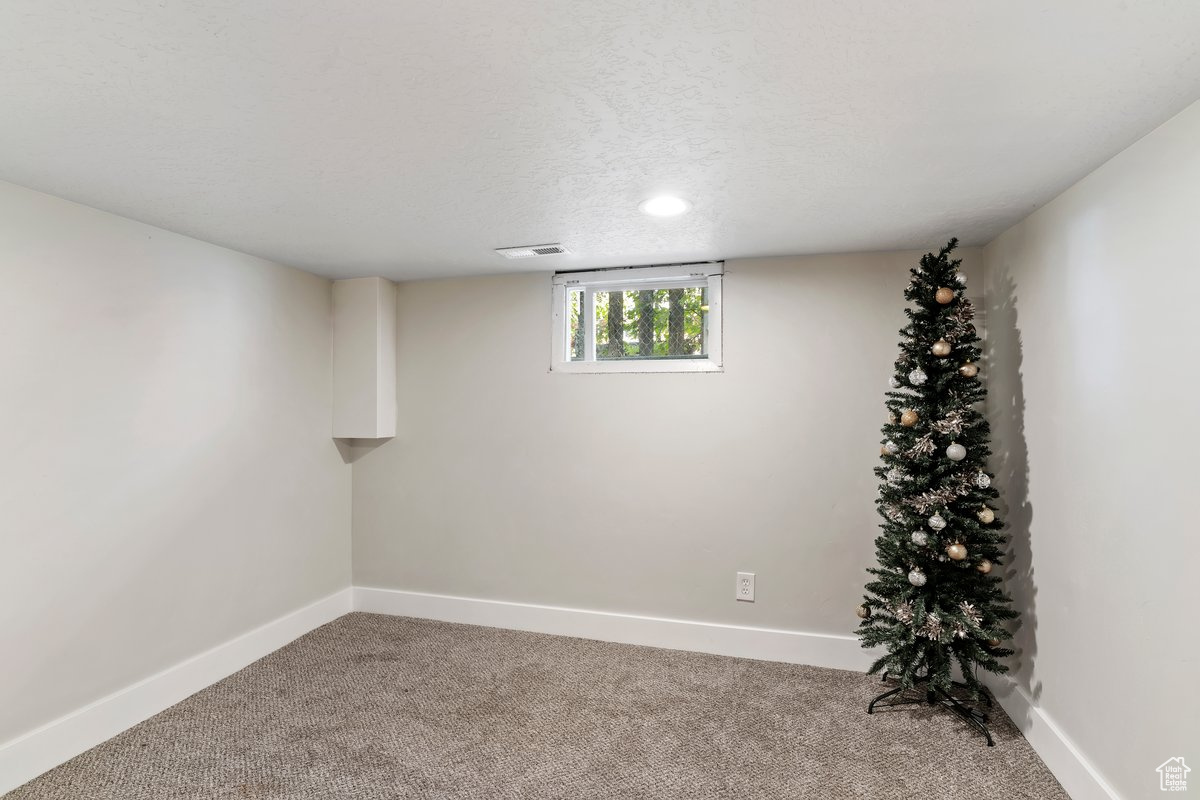 Basement with carpet and a textured ceiling